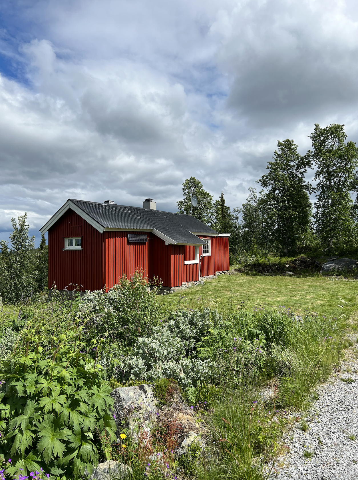 Hytta ligger naturskjønt til på Veståsen i Ål kommune. Galleribilde
