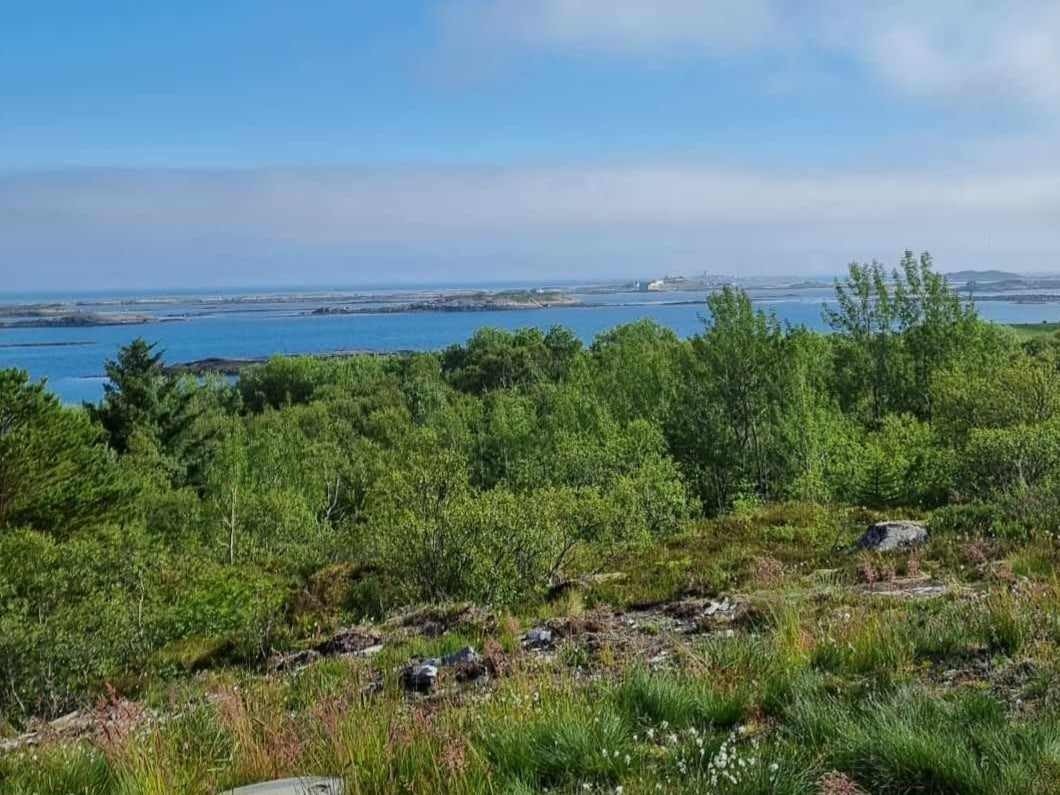 Utsikt sørøstover Galleribilde