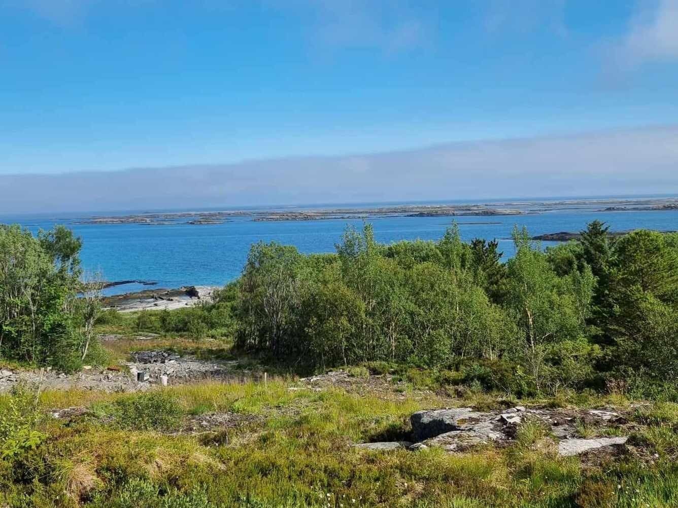 Utsikt mot nordvest fra tomt Galleribilde