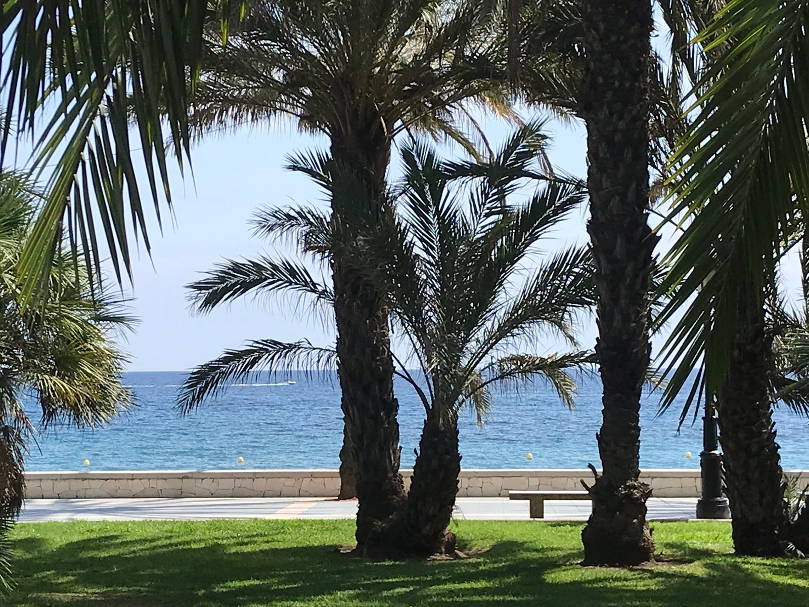 Strand & promenade Galleribilde