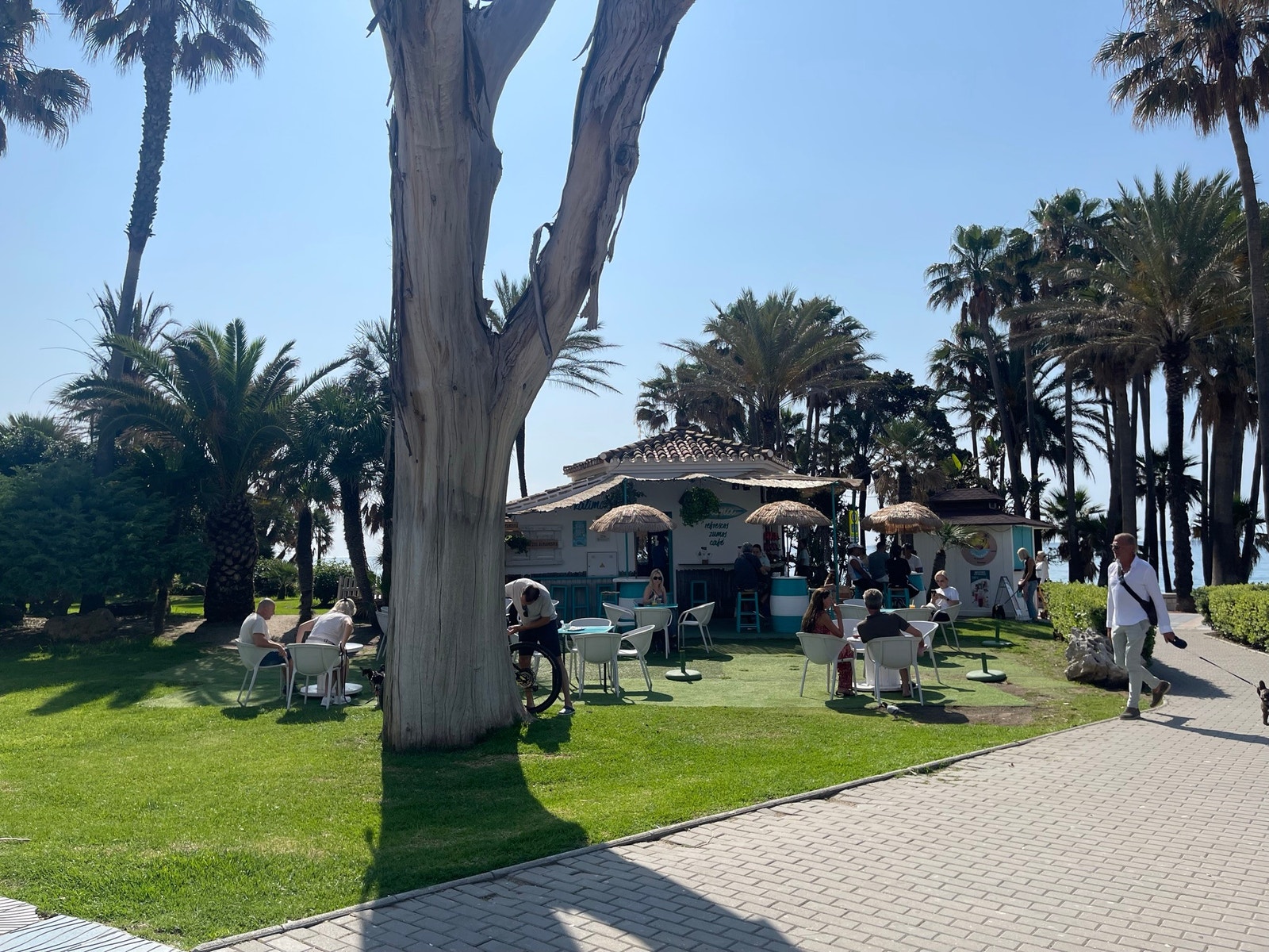 Strand & promenade Galleribilde