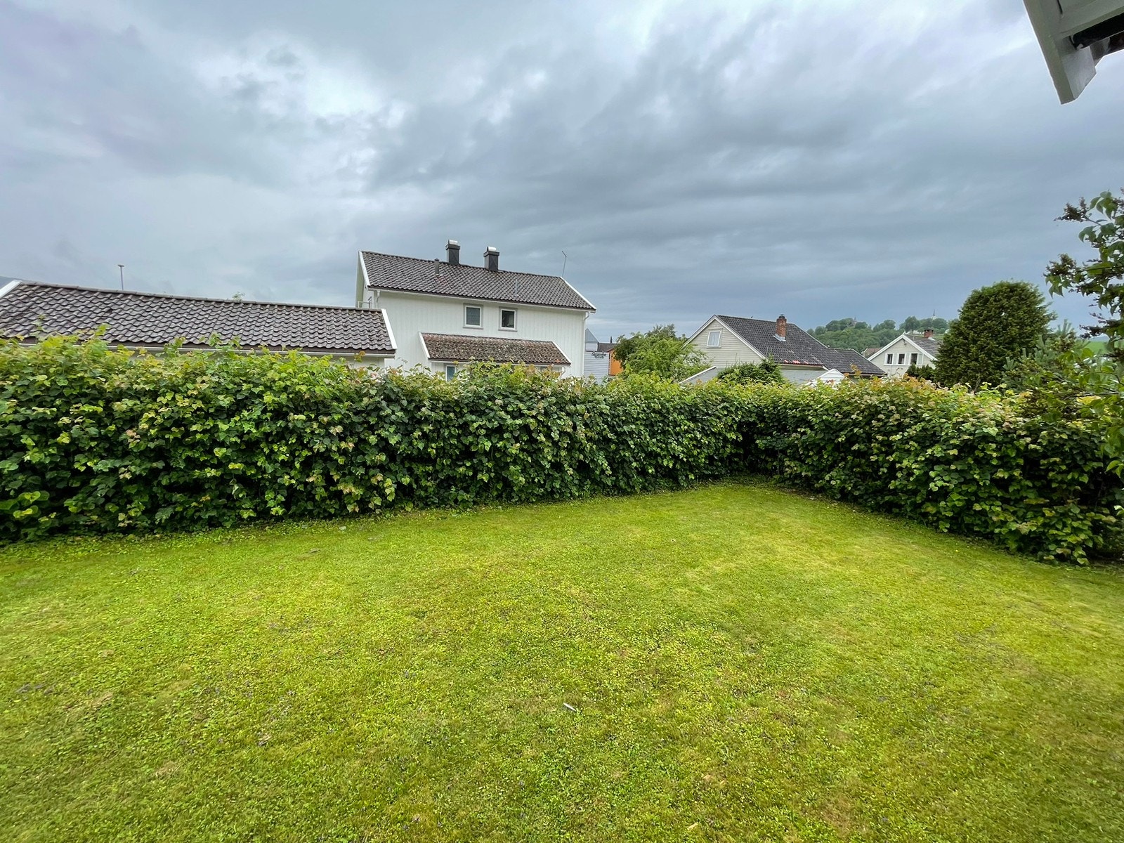 Usjenert hage Galleribilde