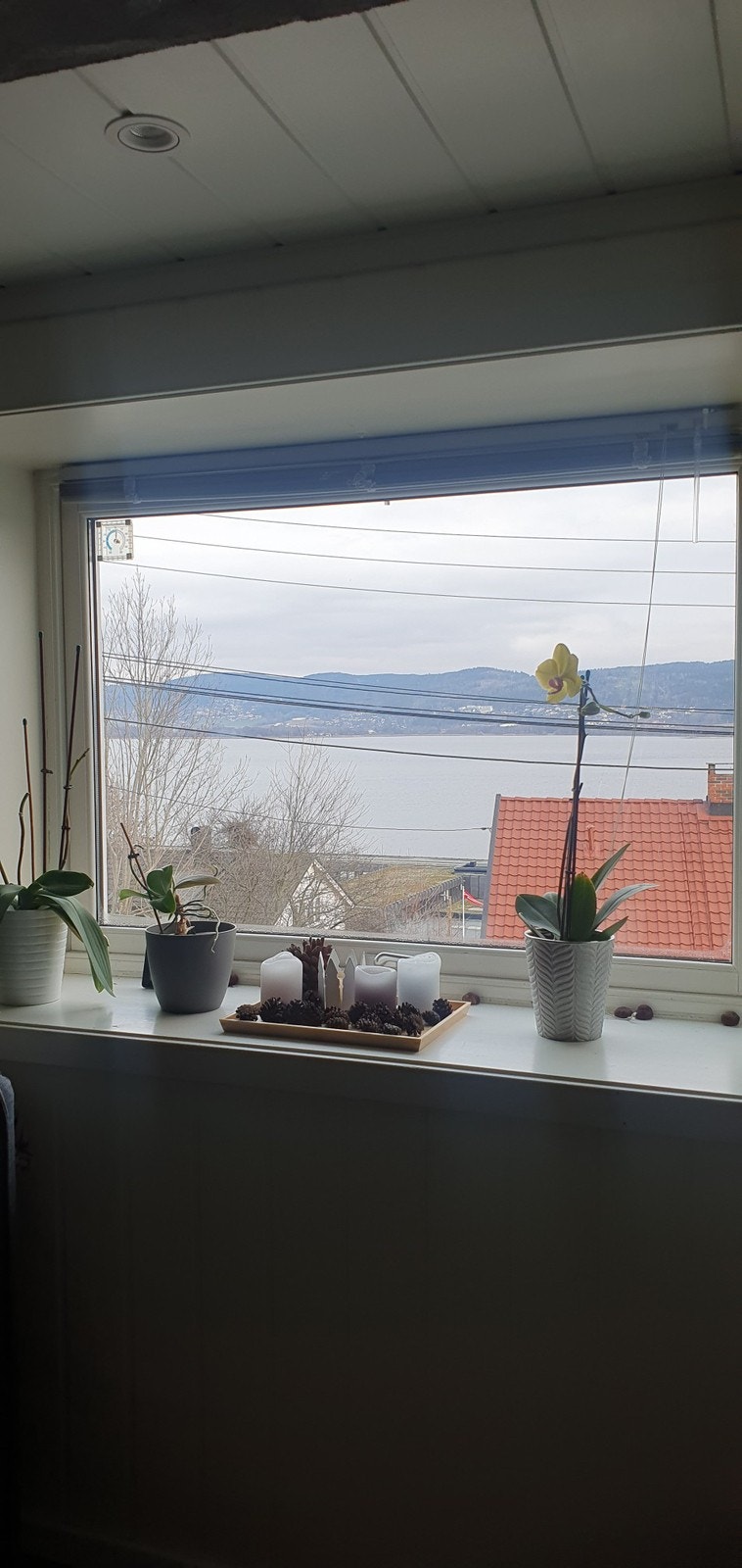 utsikt fra stue Galleribilde