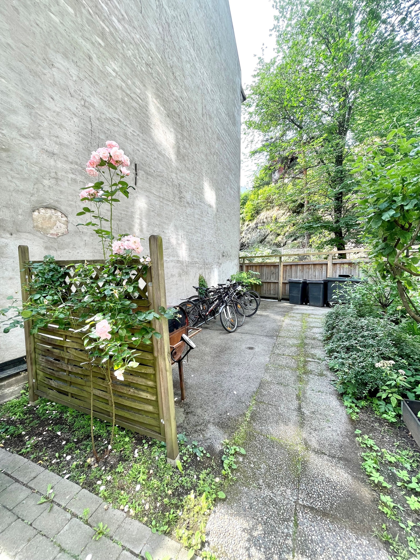 Felles bakgård (2/2) Galleribilde