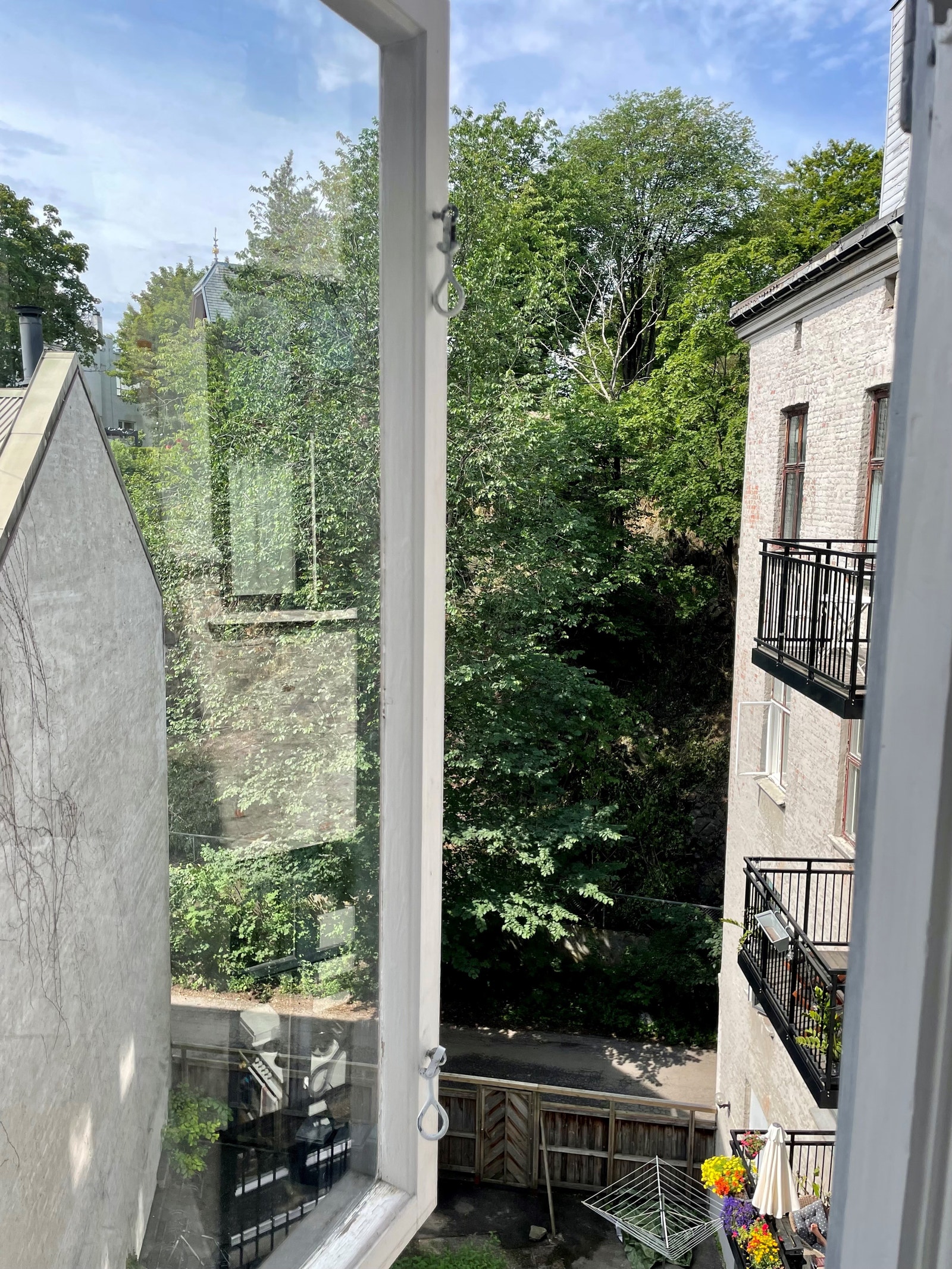 Frodig utsikt fra vinduet (vestvendt, mye naturlig sollys) Galleribilde