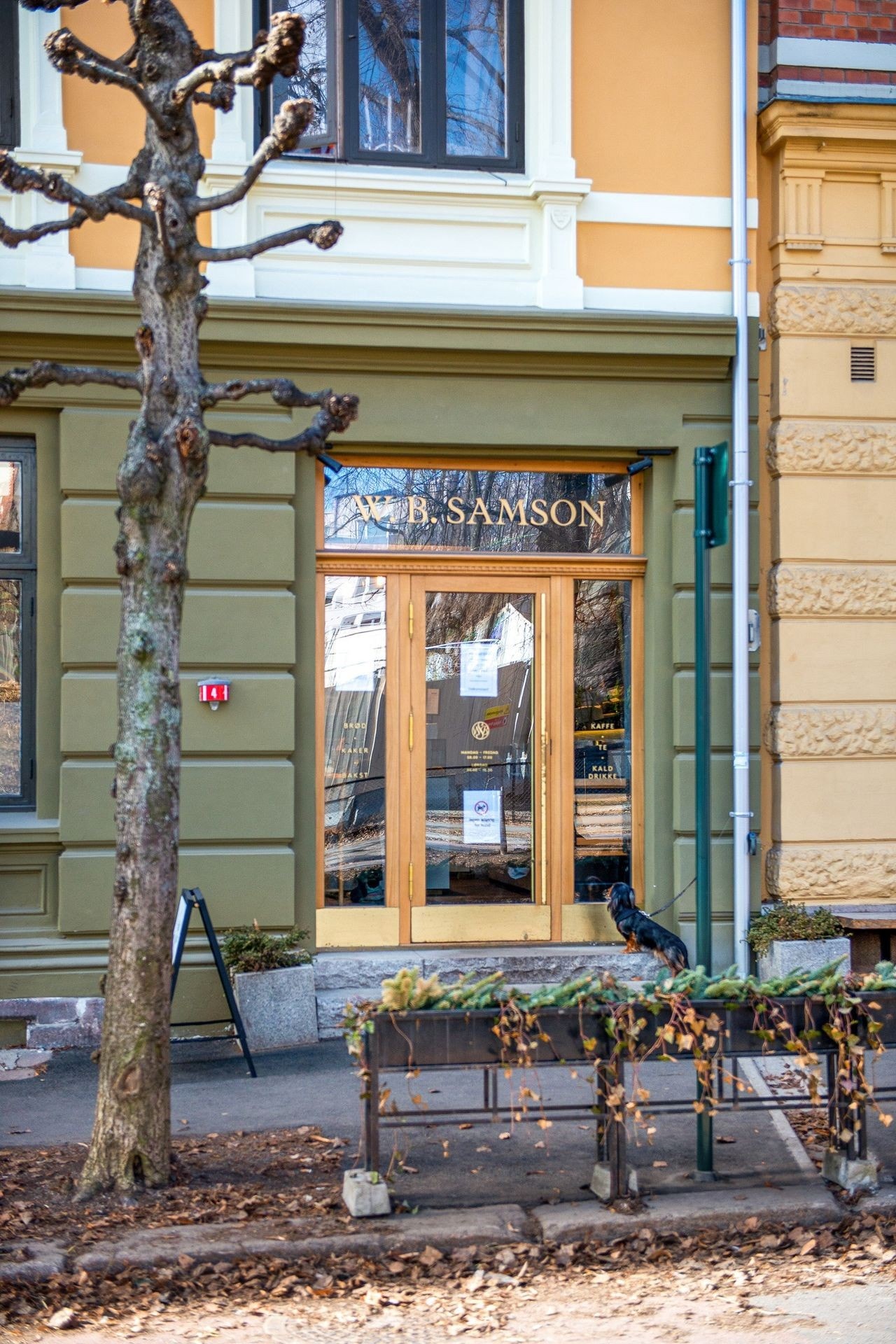 Samson i samme bygg Galleribilde