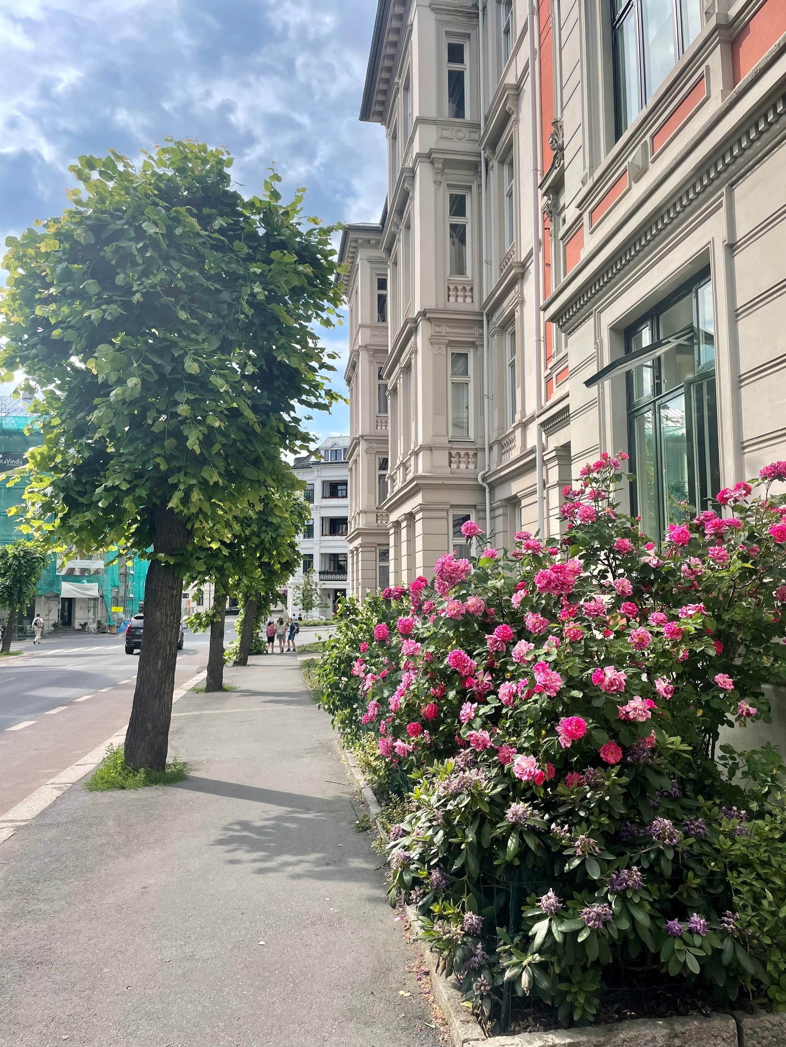 Bilde fra nærområdet Galleribilde