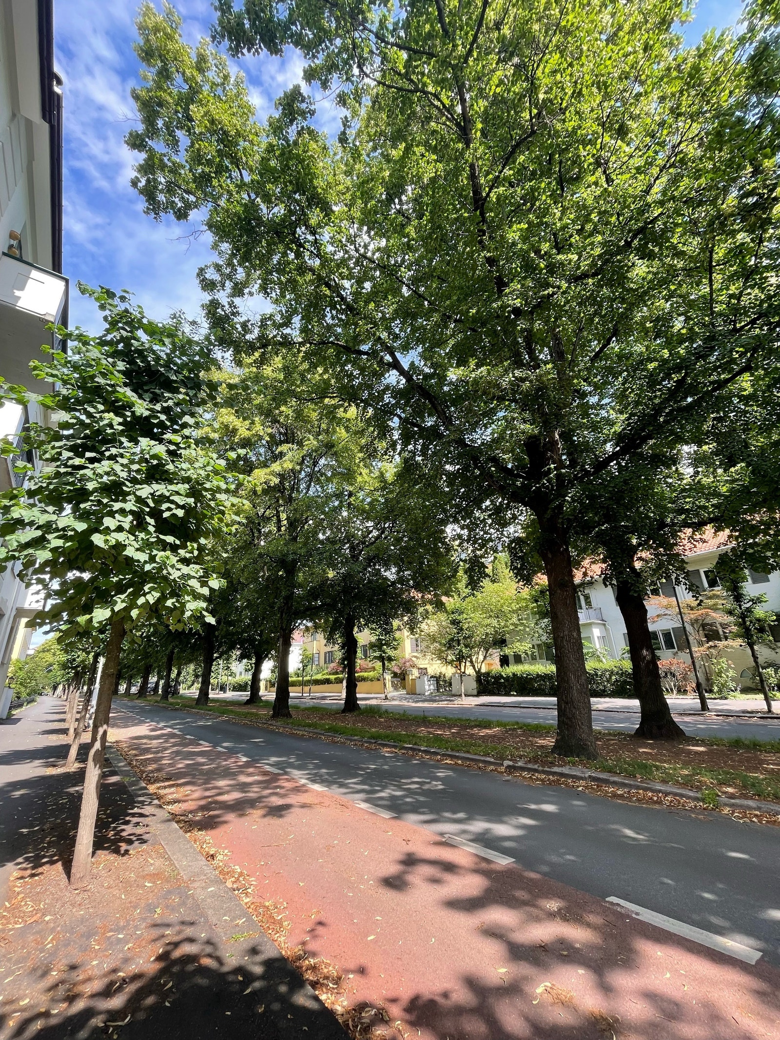 Gyldenløves gate - Frogner sin fineste gate Galleribilde
