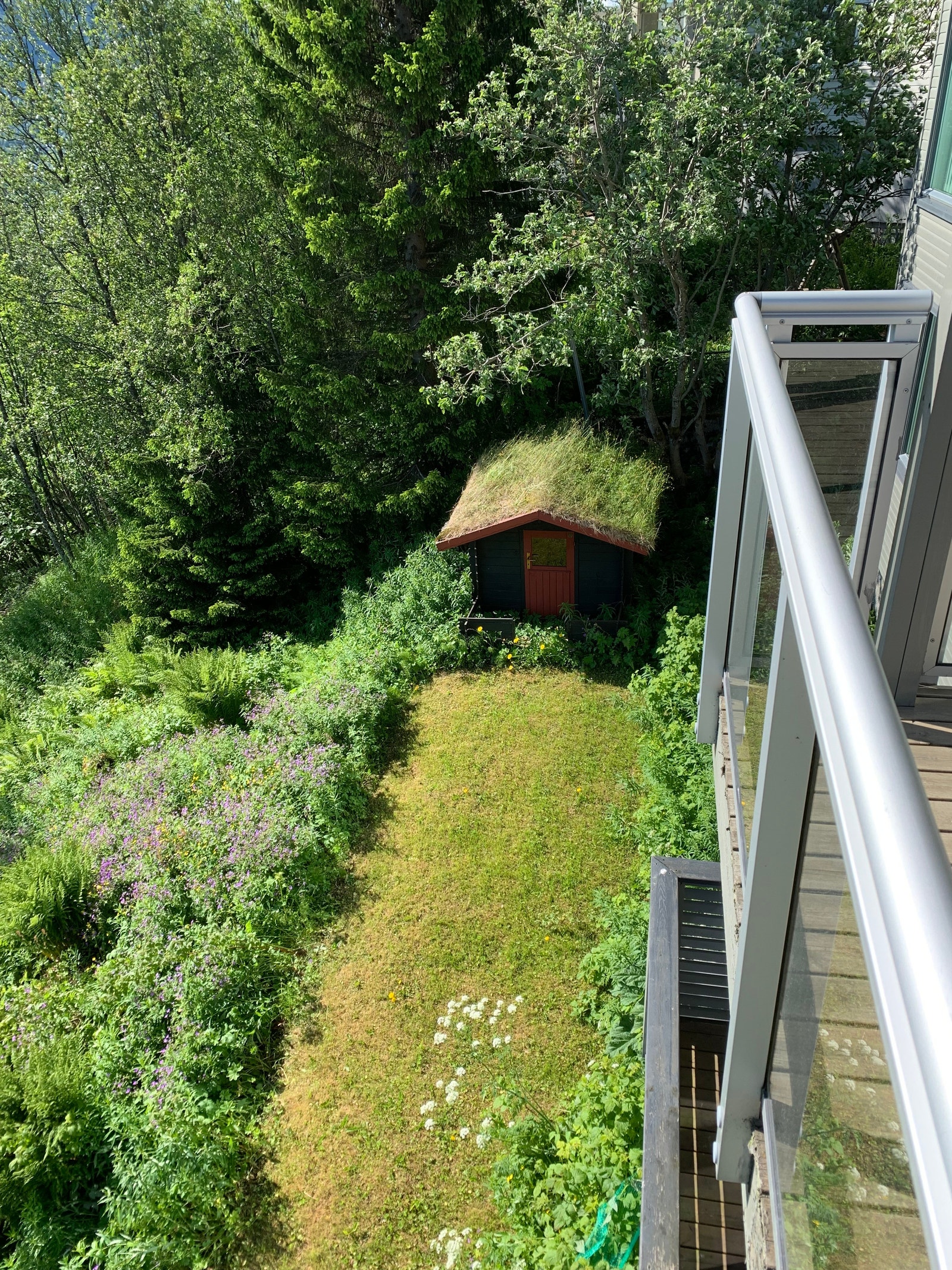 Naturhage og plen med dukkestue på østsiden av huset Galleribilde