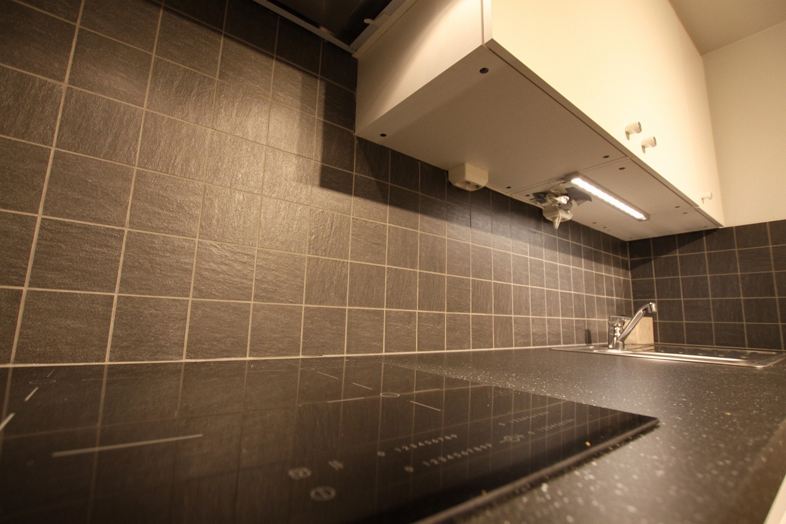 Kjøkken med induksjontopp i fellesområde Galleribilde