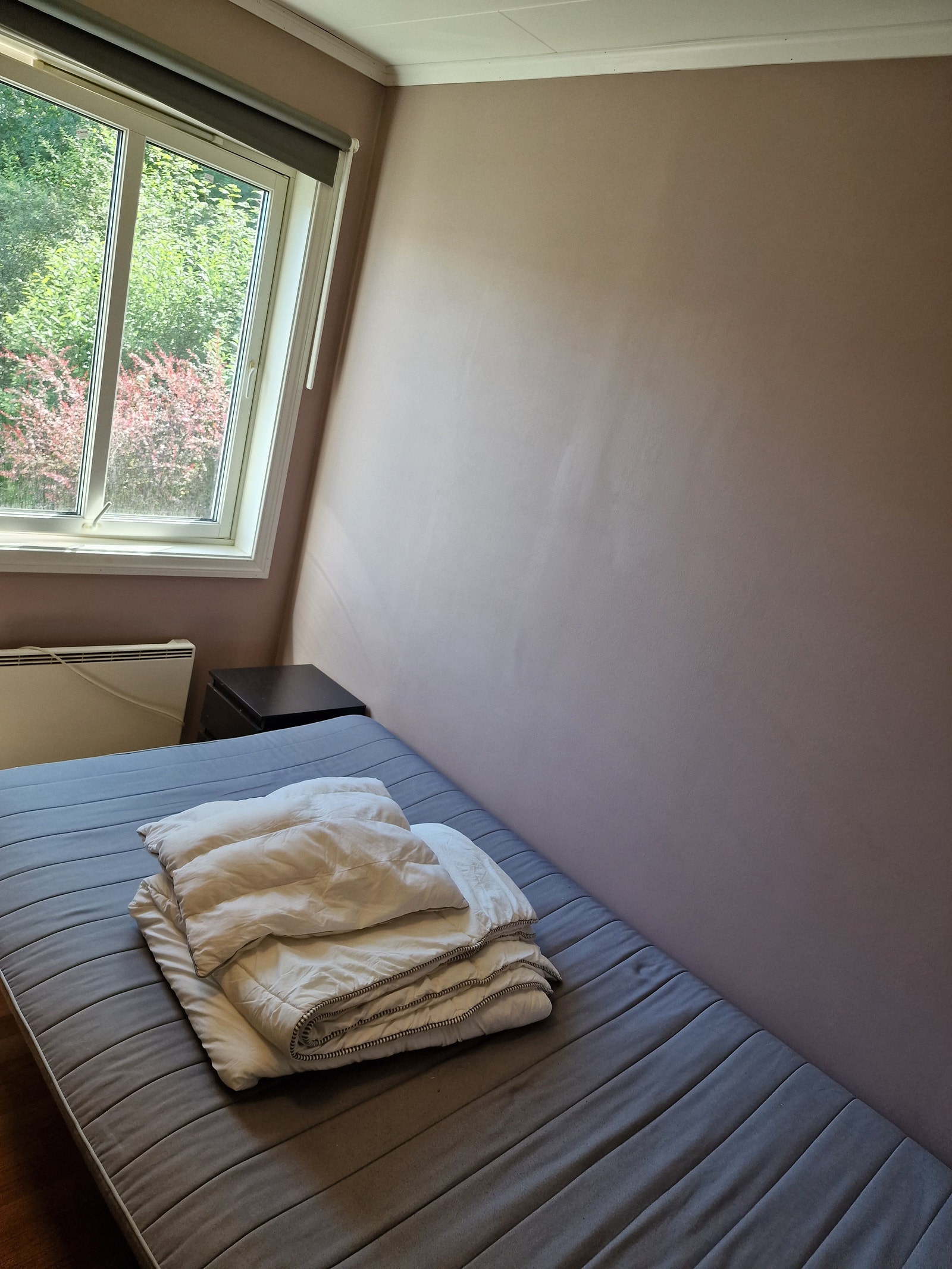purple room, south windows, 2nd floor Galleribilde