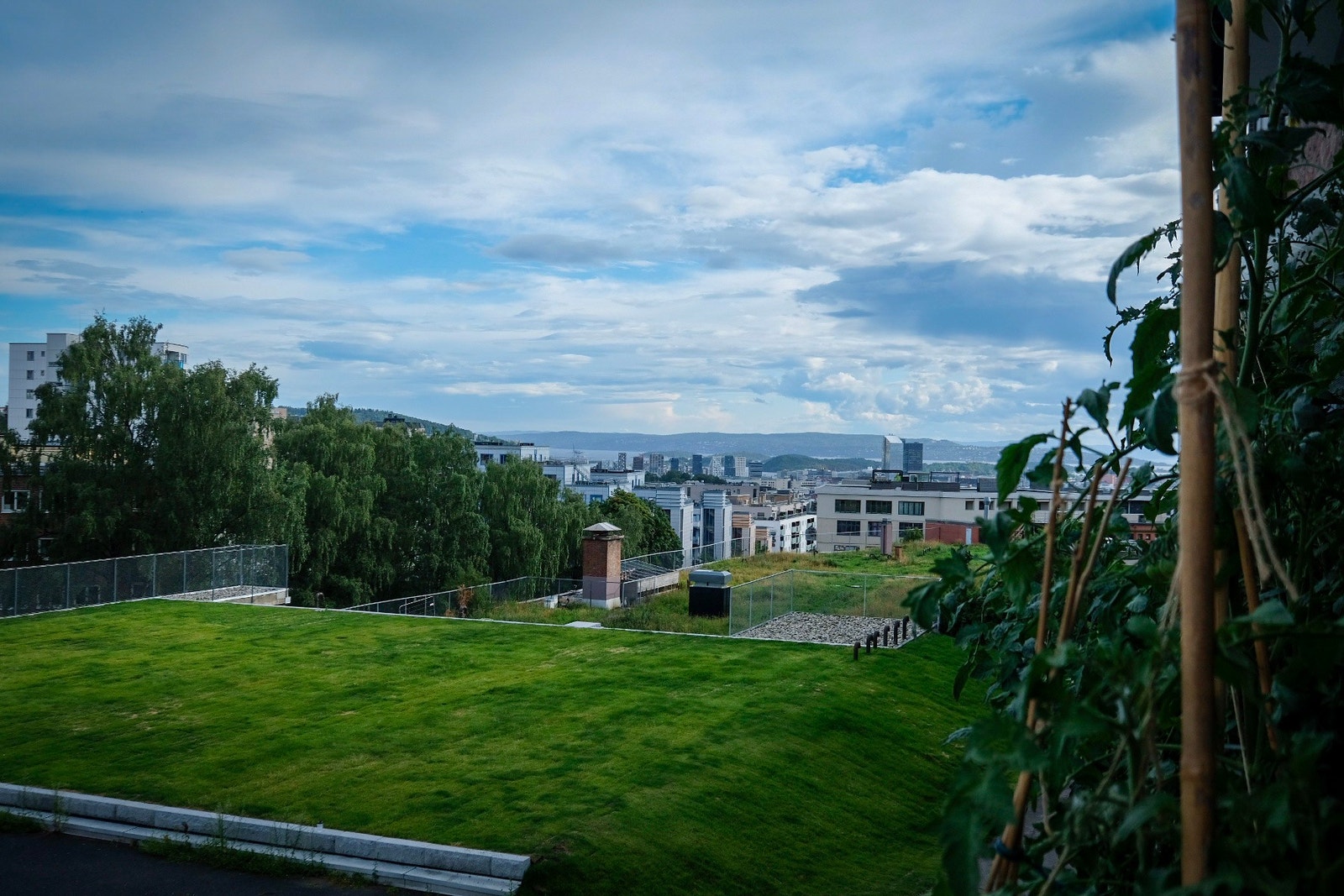 Fjordutsikt fra verandaen. Galleribilde
