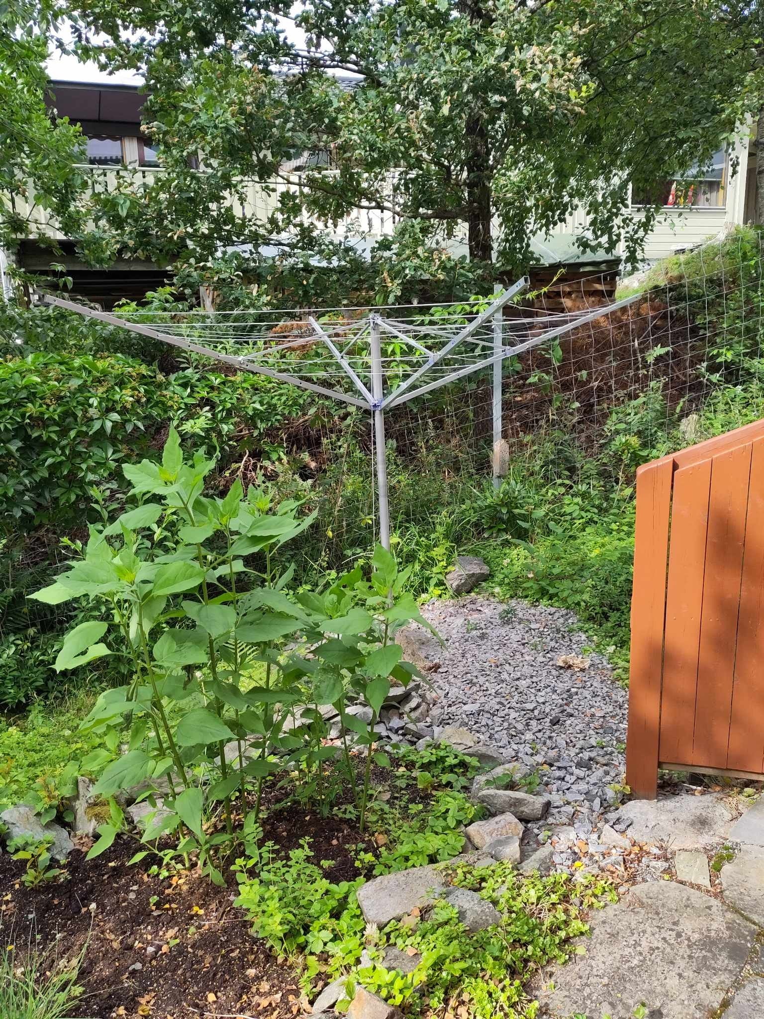 Mulighet for tørking av klær for leietaker Galleribilde