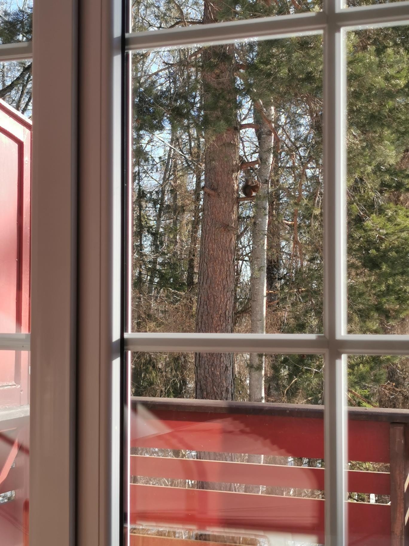 Utsikt fra soverom 1 Galleribilde