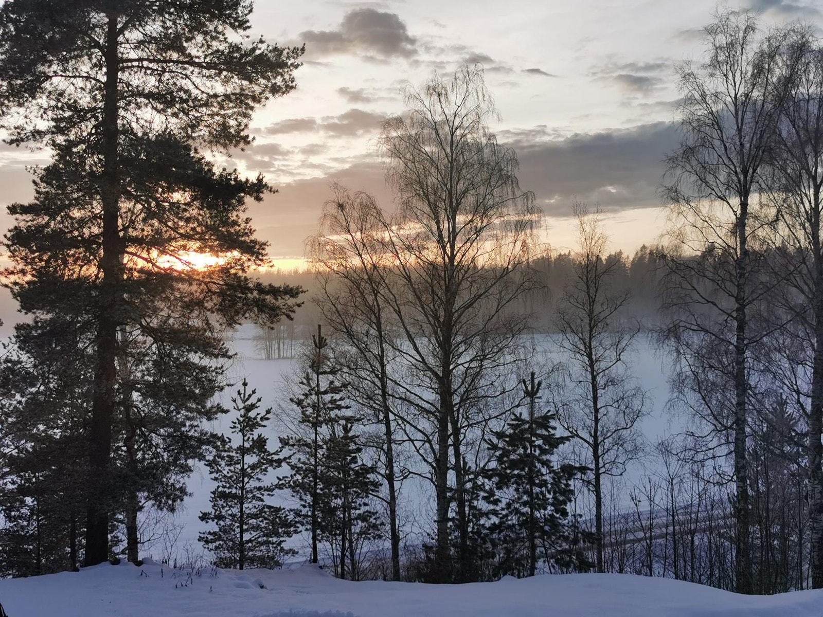 Utsikt fra terrassen Galleribilde