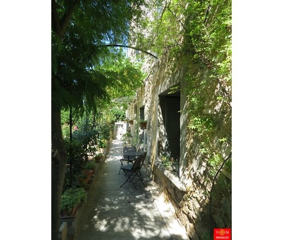 Hage med vinranker over Galleribilde