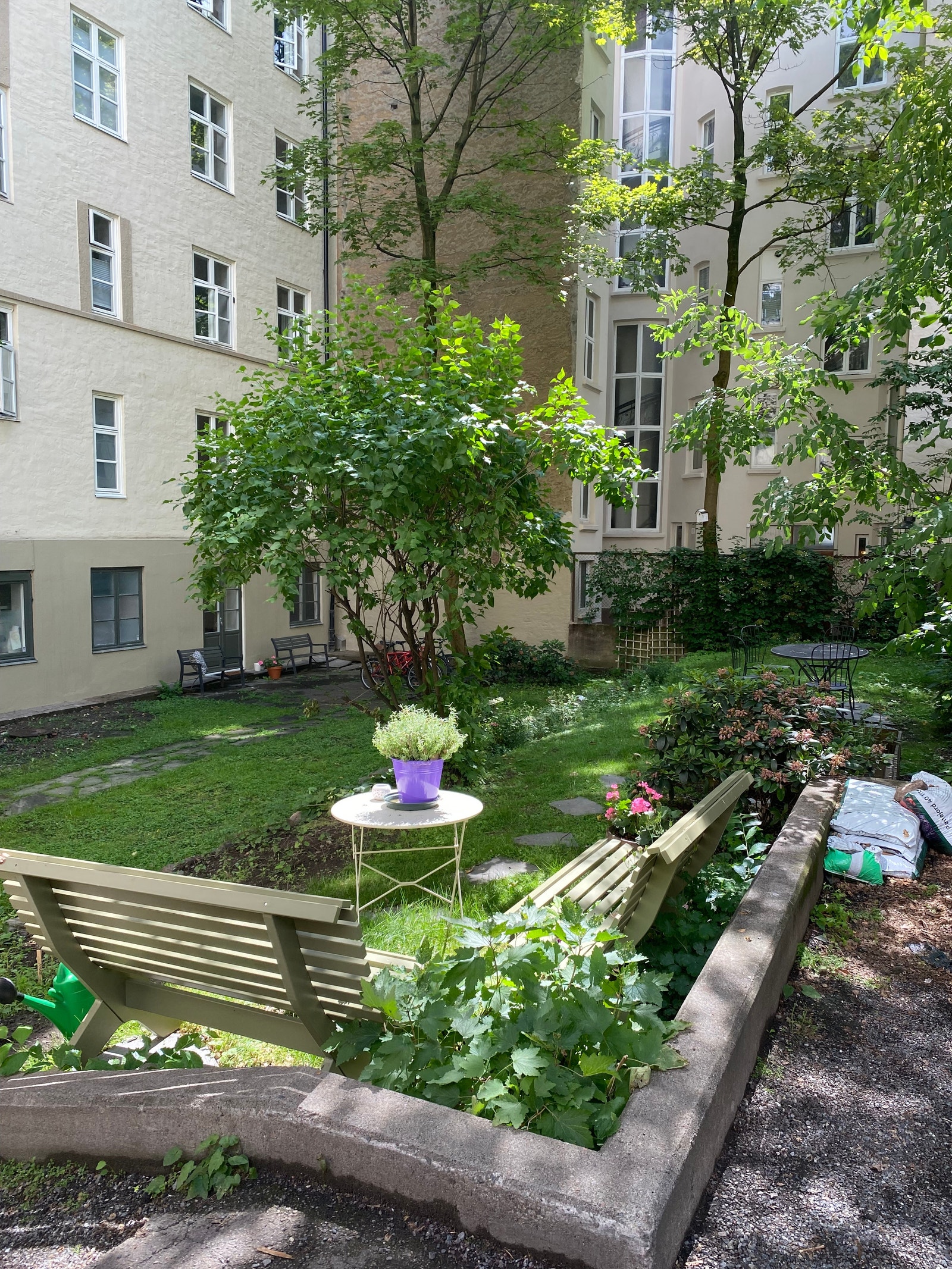 Frodig og stille bakhage Galleribilde