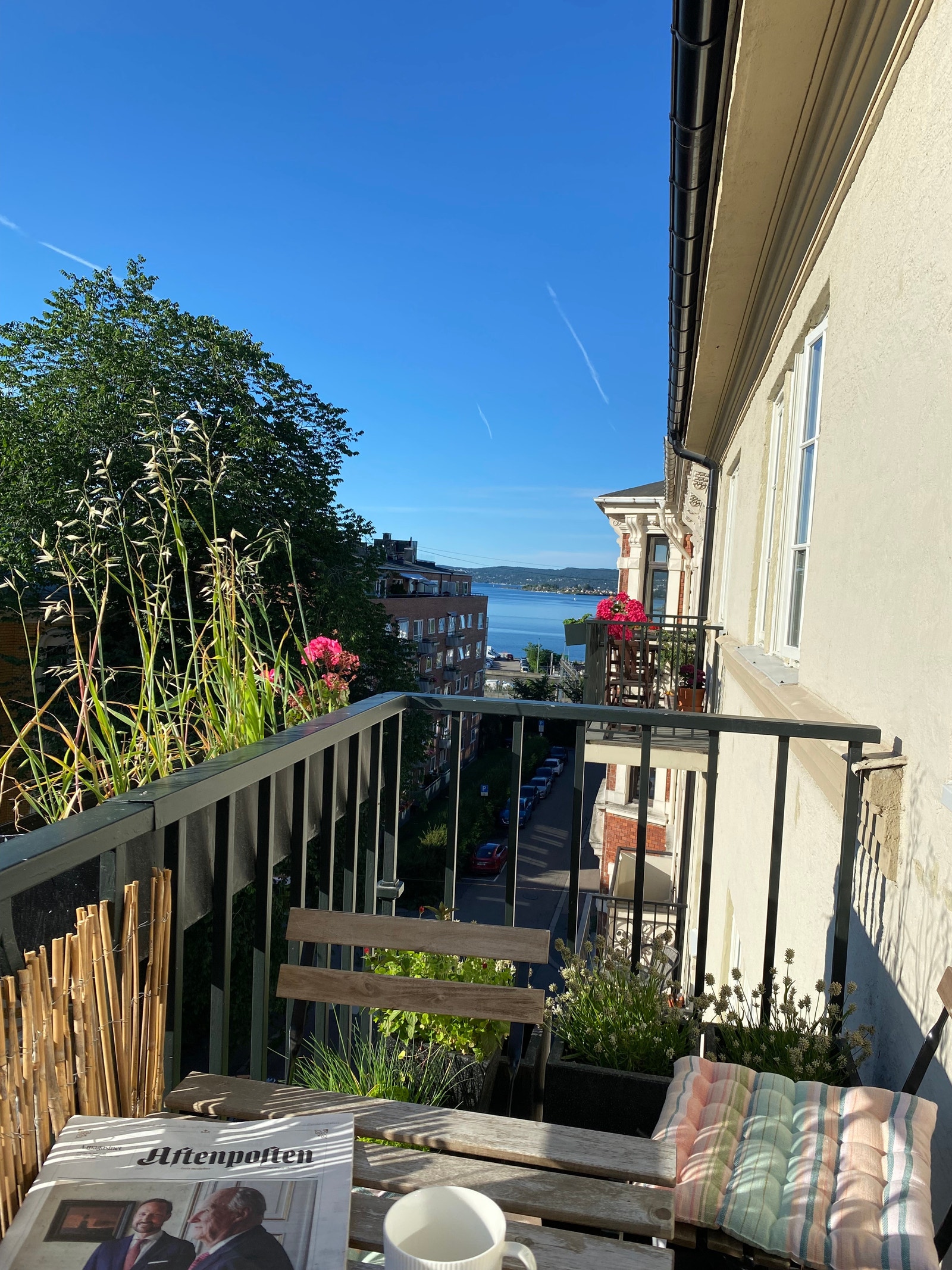 Deilig utsikt mot sjøen Galleribilde