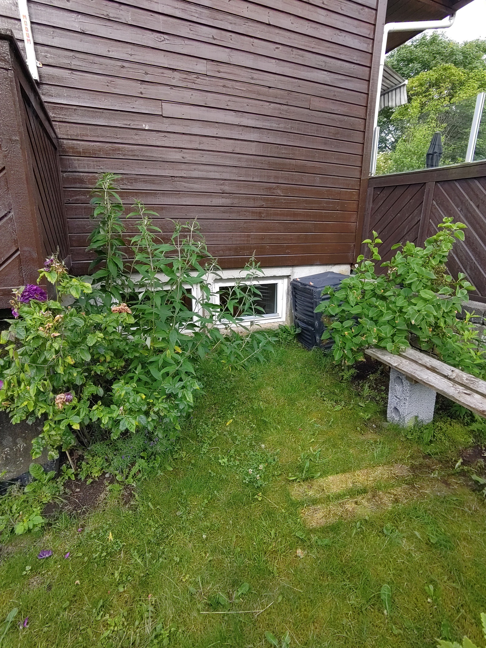 Vinduer inn til kjøkken. Galleribilde