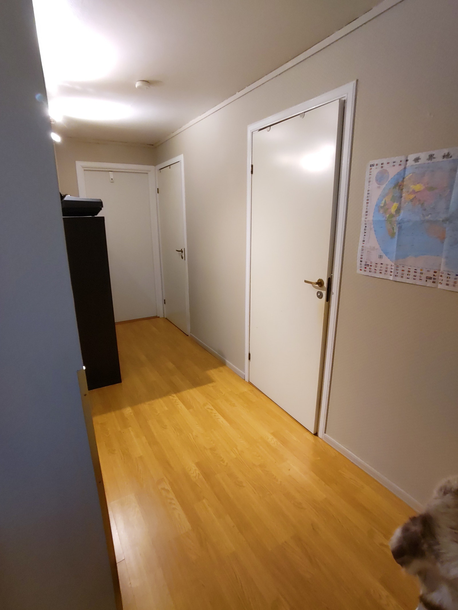 Gang med dører til bad, bod, og soverom. Galleribilde