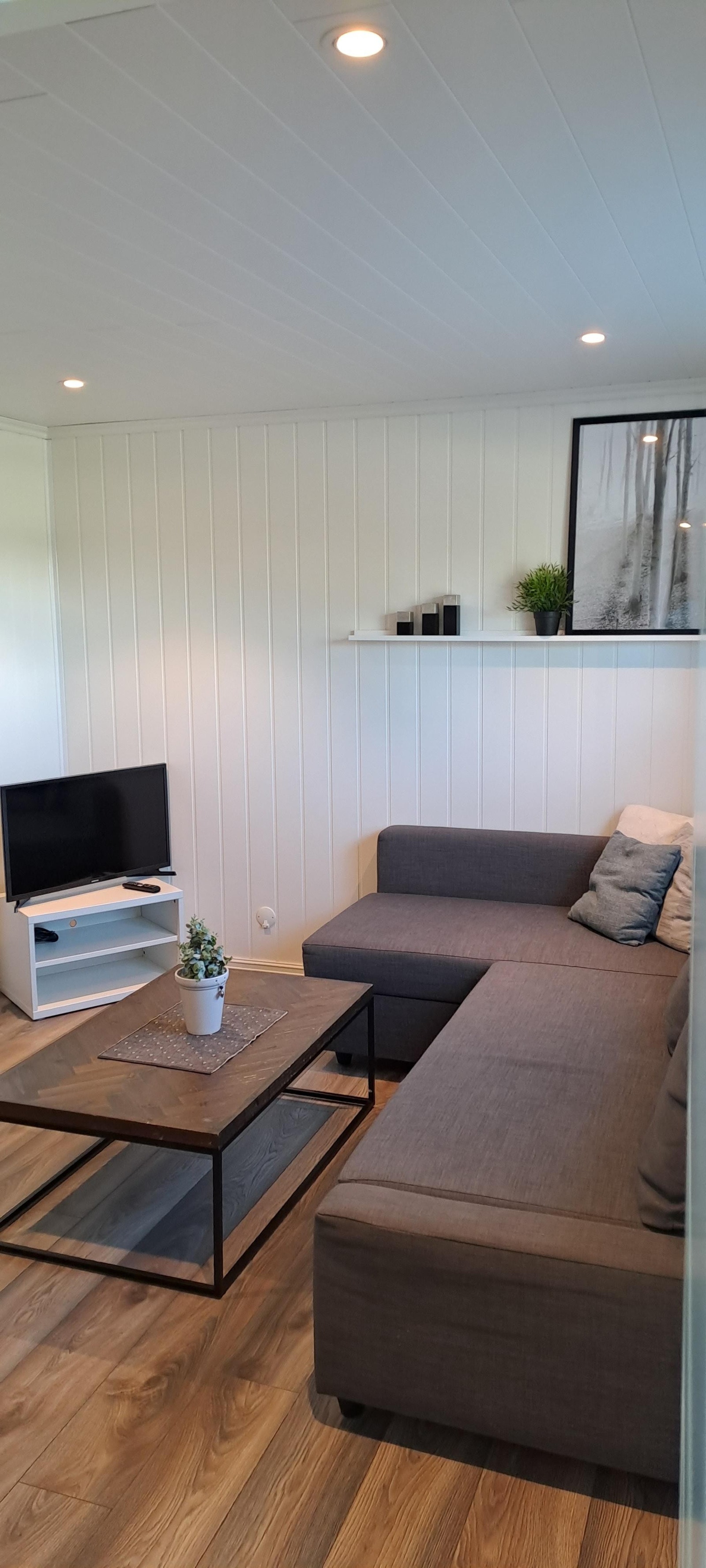 tv, strøm og Wifi inkludert, sovesofa i stua Galleribilde