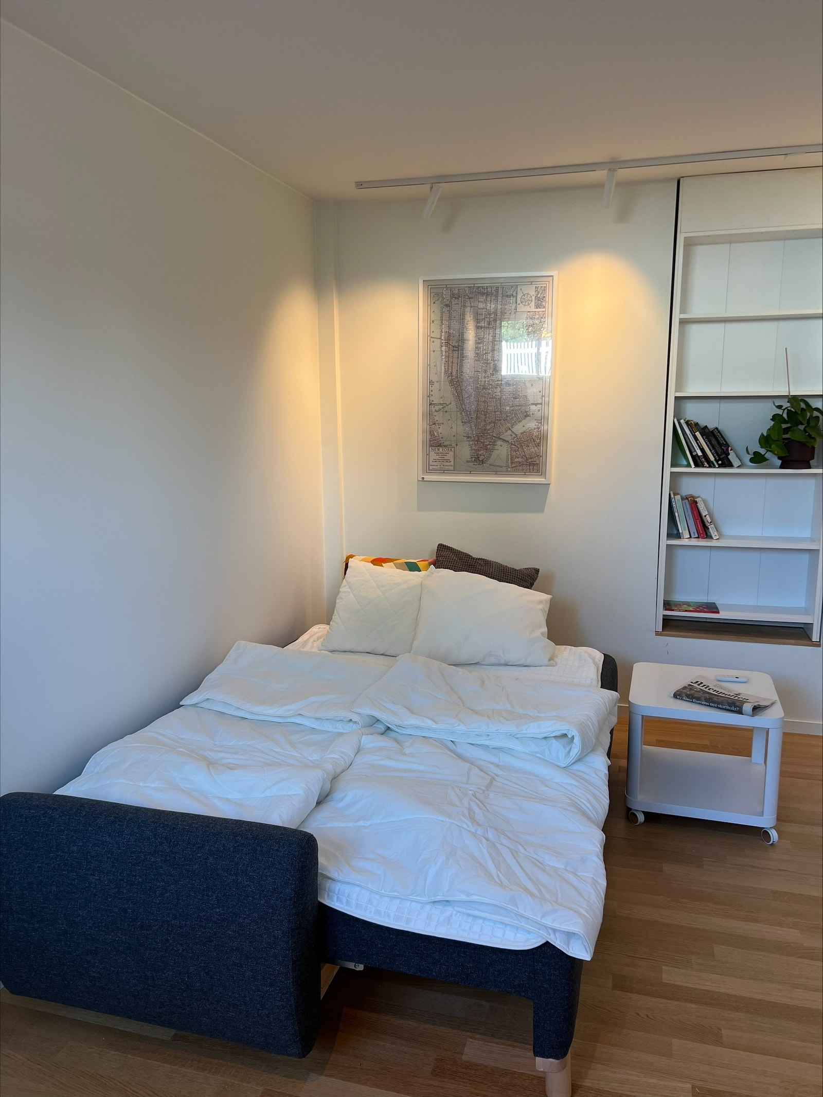 Sovesofa i stuen Galleribilde