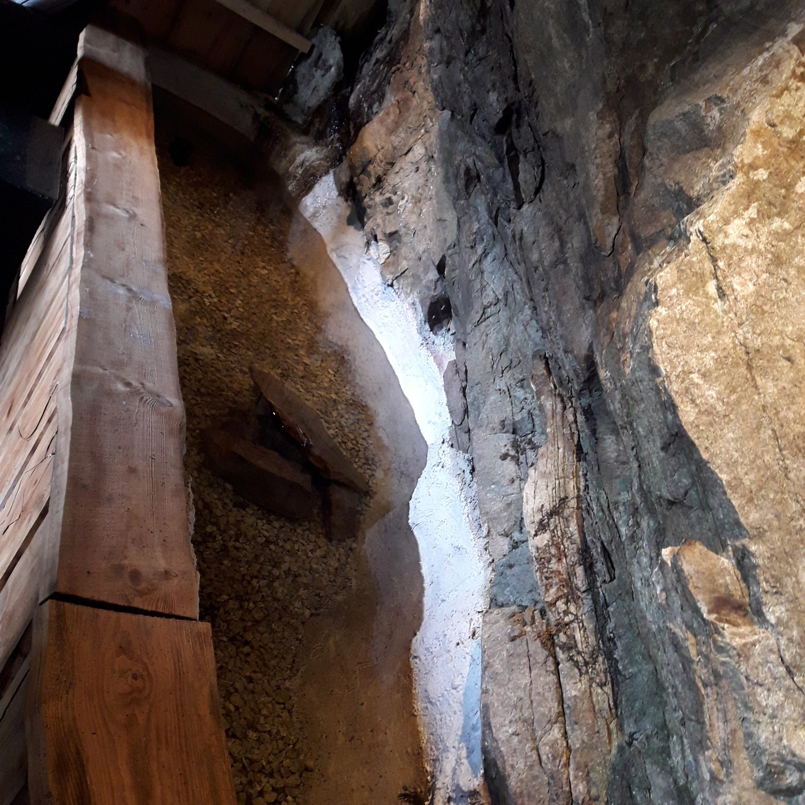 Fiskedam i gapahuk Galleribilde