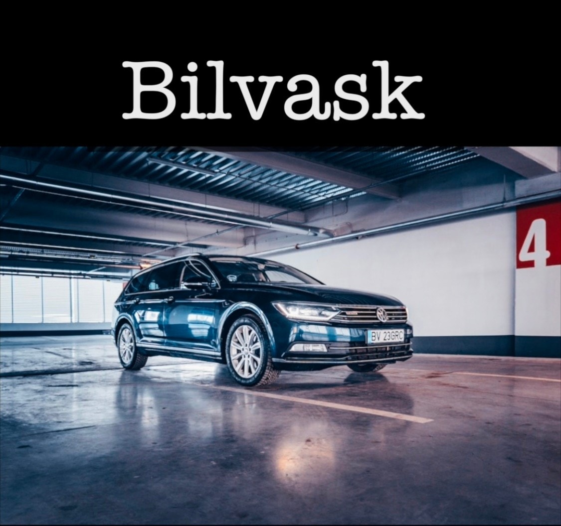 Bilvask Galleribilde