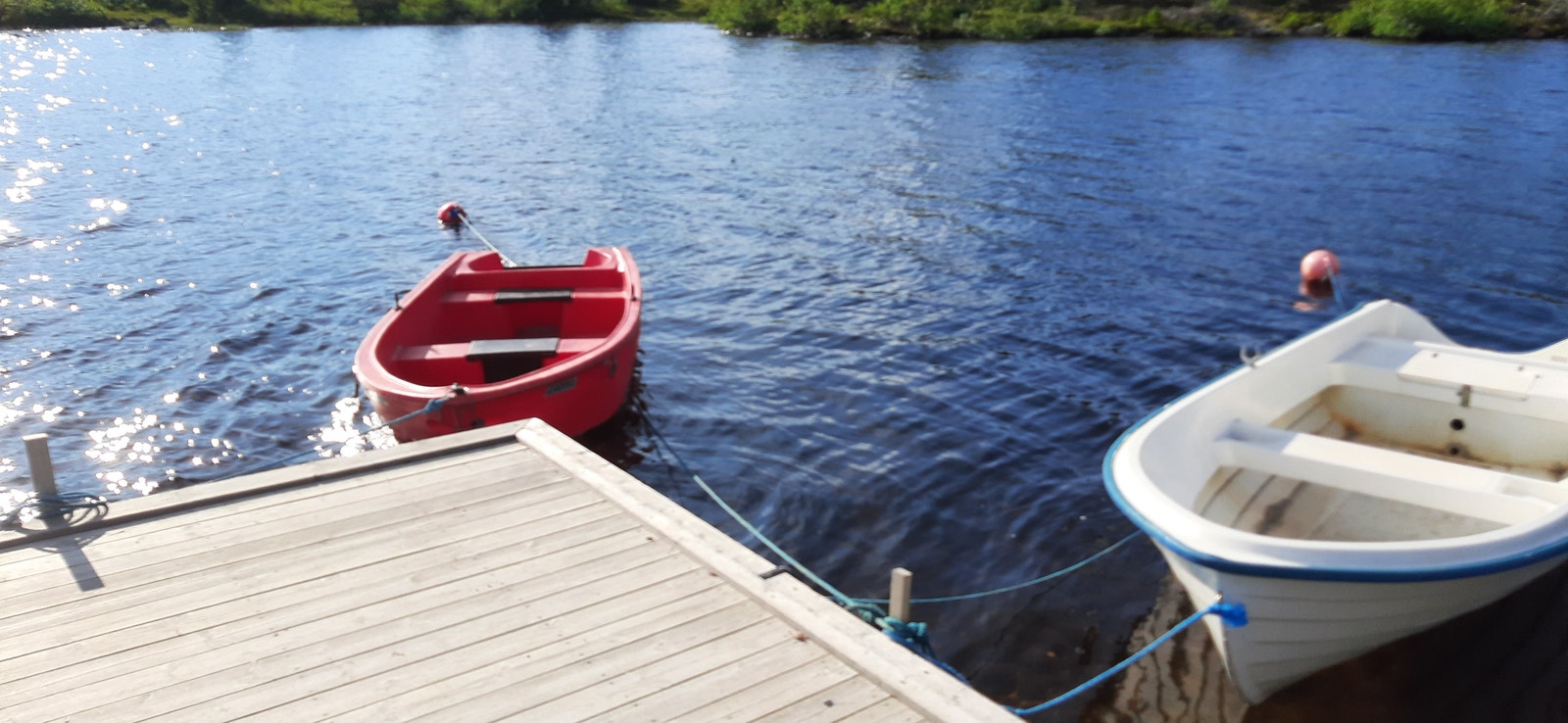 Gapahuk, Brygge, 2 robåter, 1 kano, 2 bålpanner til fri disposisjon Galleribilde