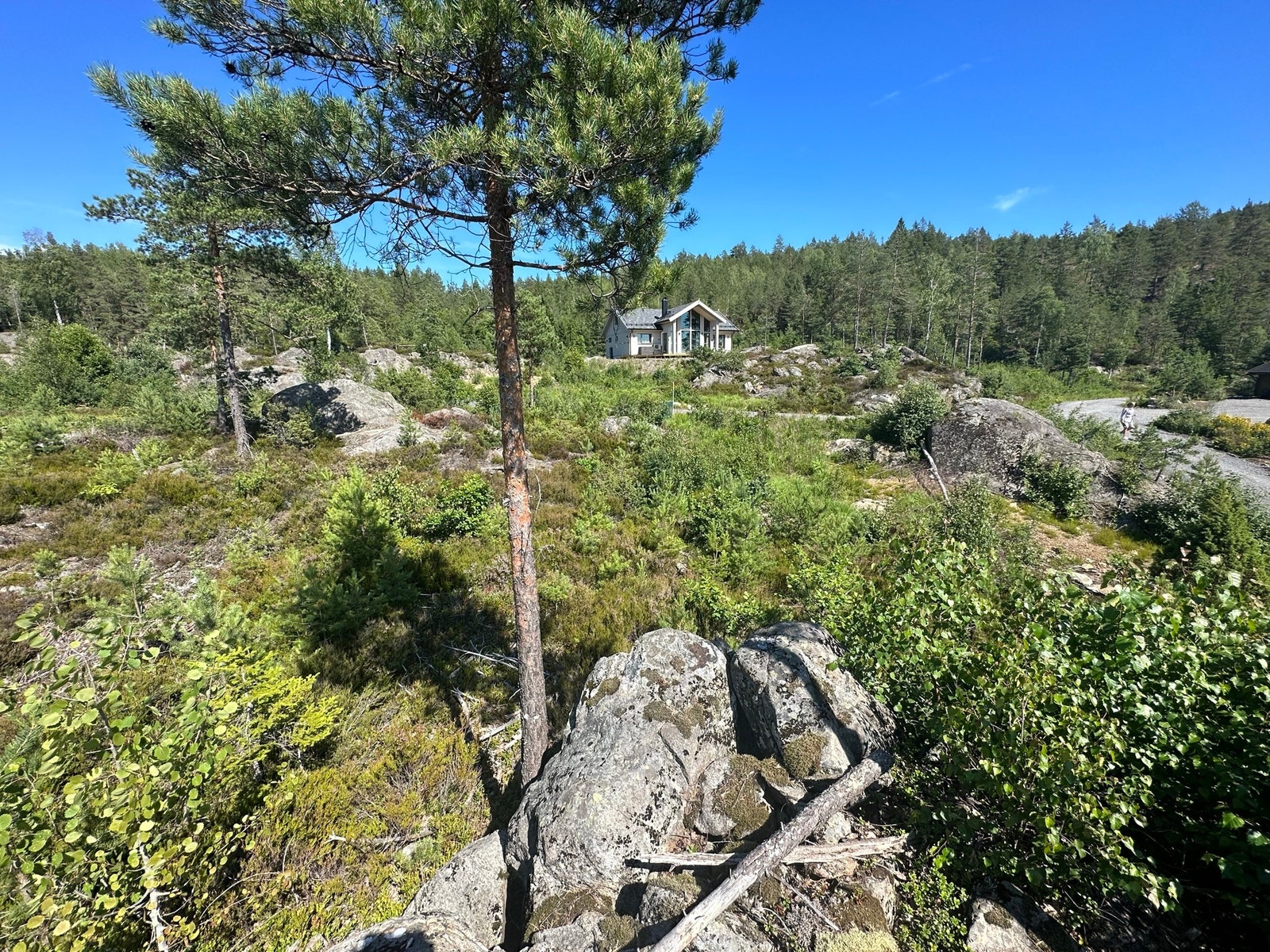 Øst Galleribilde