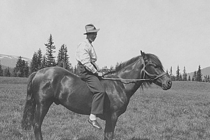 Med stor eiendom på ca. 35 dekar har man muligheter til å dyrke hobbyer om der er hest eller hund. Galleribilde