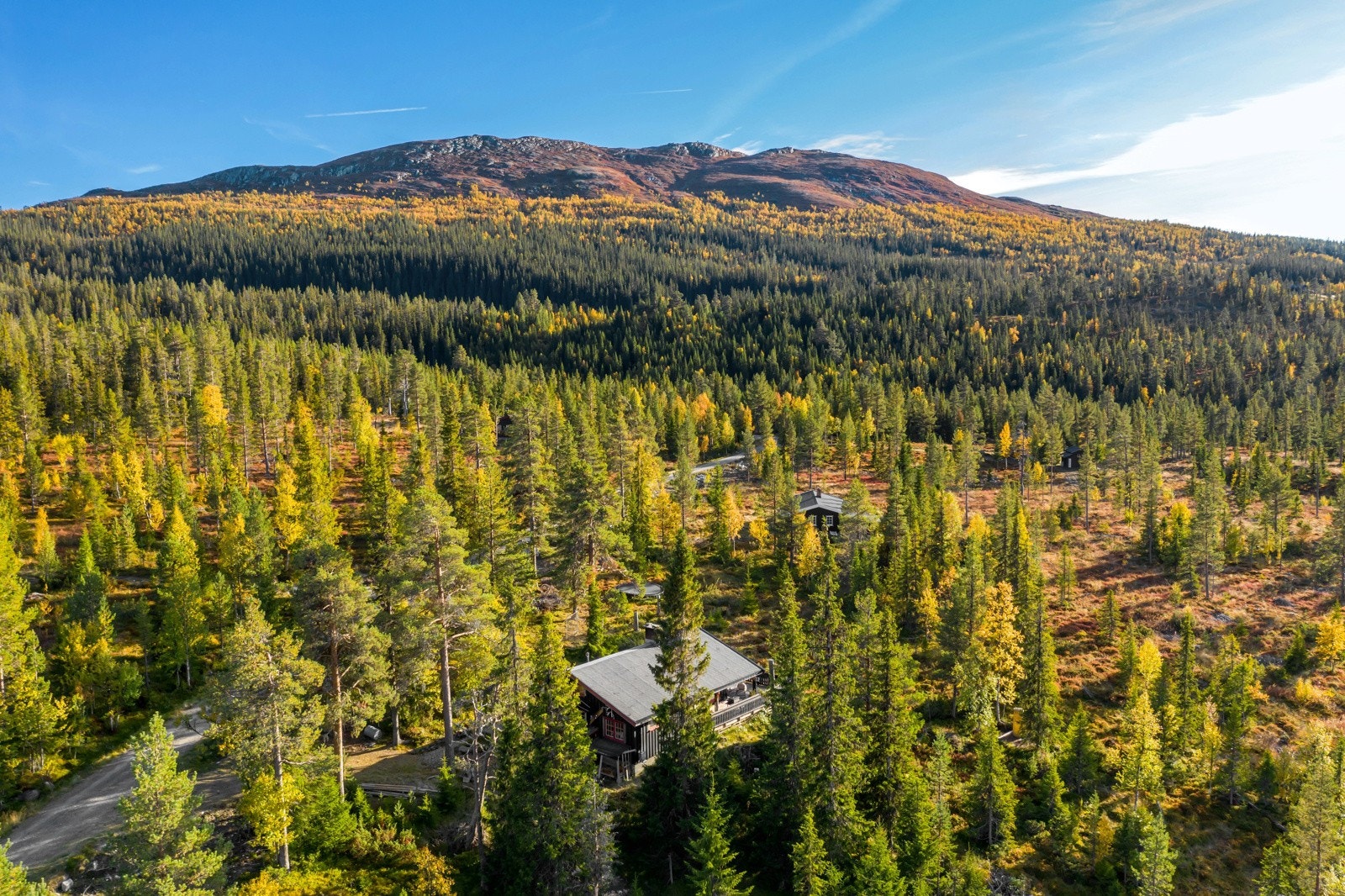 Fekjan er en gammel setervoll, som ligger tett inntil snaufjellet. Galleribilde