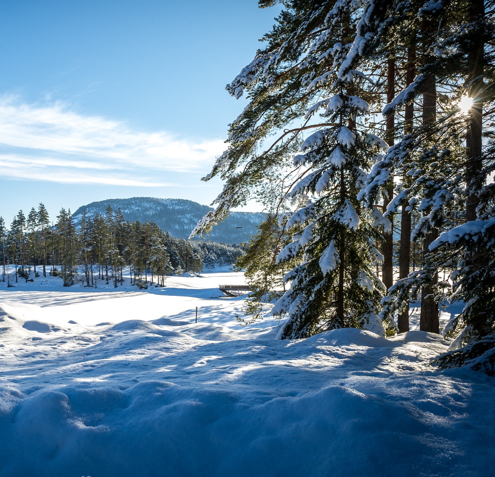 Vrådal - et perfekt sted å ha hytte sommer som vinter. Galleribilde