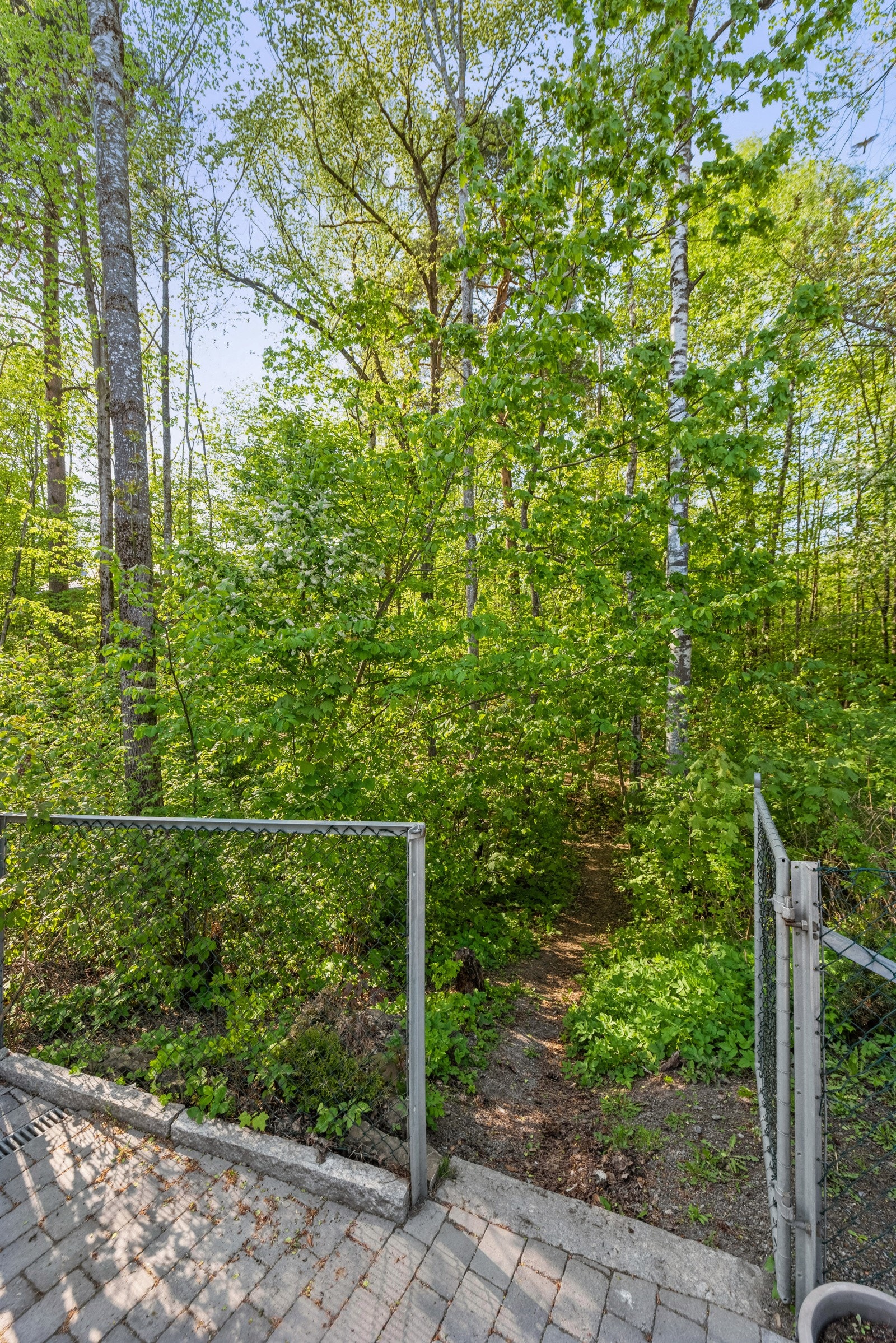 Fra eiendommen har man umiddelbar tilgang til Skallumhagens frodige skogsområde Galleribilde