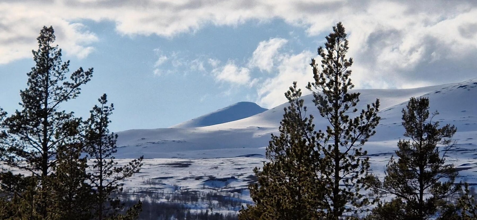 Nautgardsmassivet kan sees fra tomta! Galleribilde
