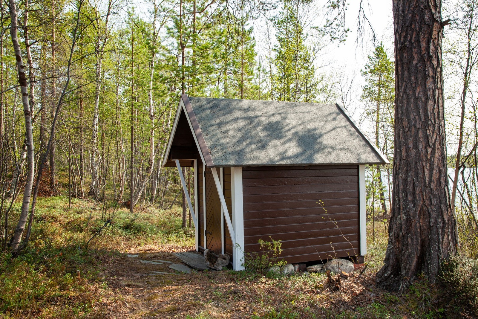 Dukkestue Galleribilde