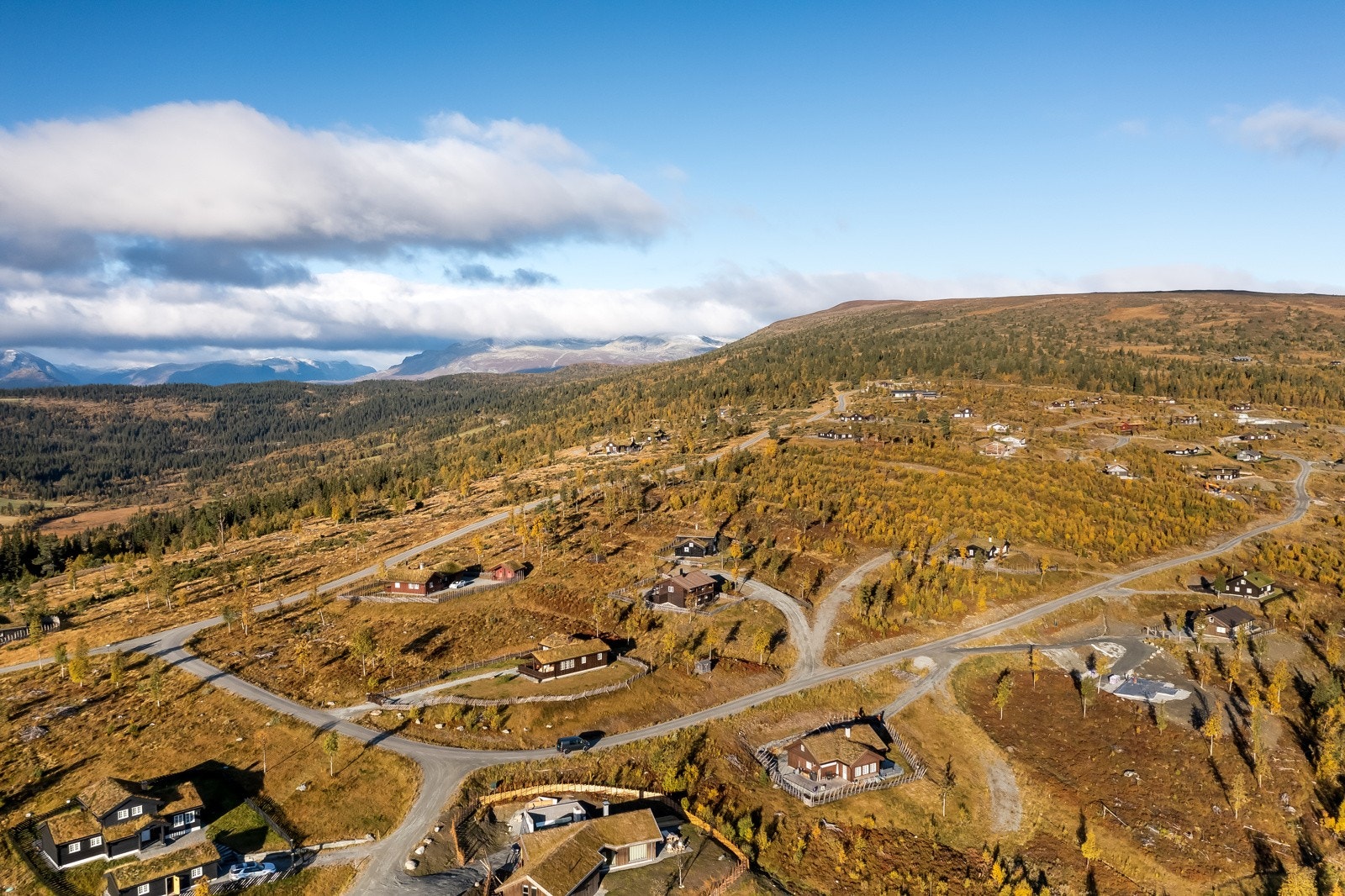 Velkommen til Ulvhildvegen 62! Galleribilde
