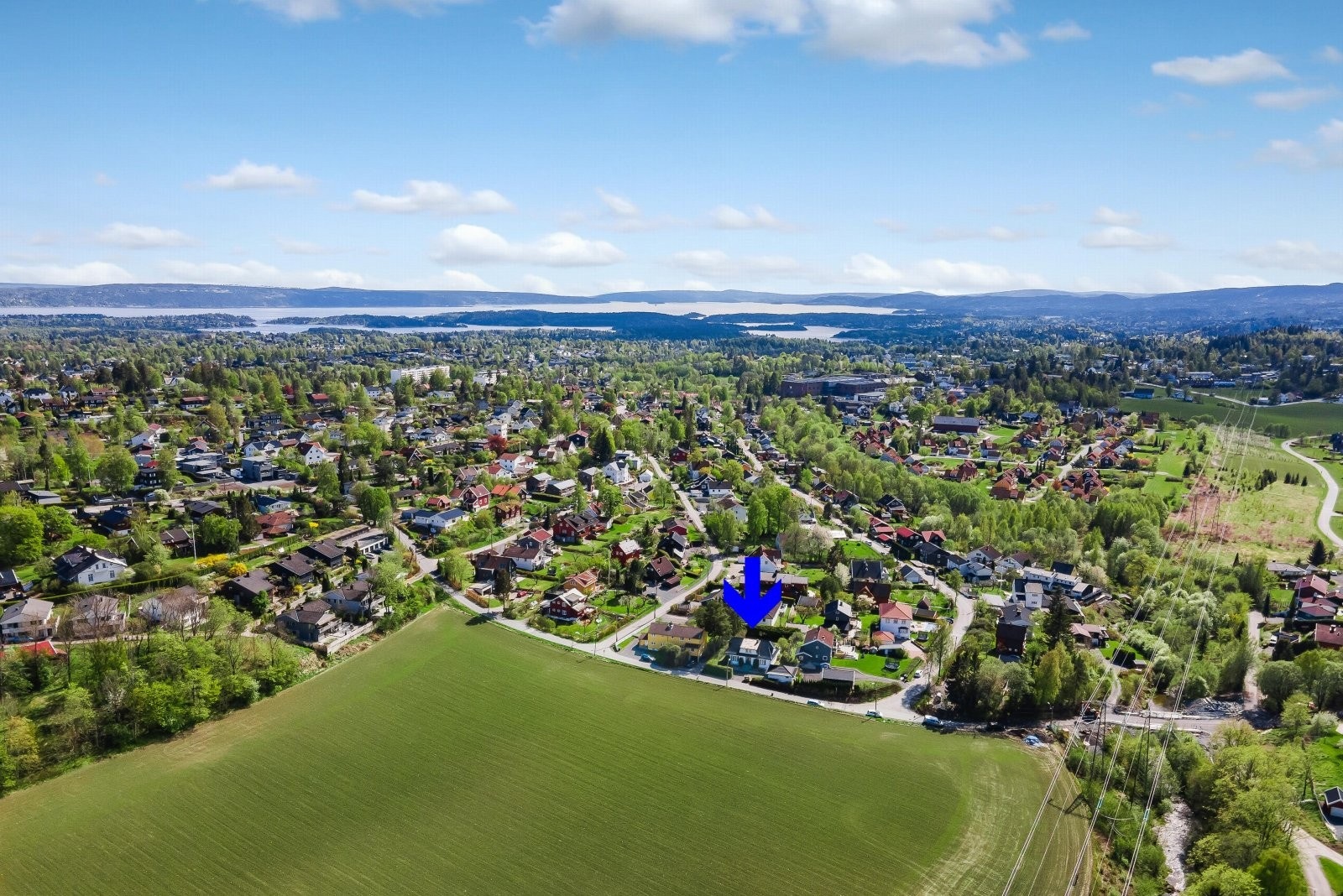 Sommerbilder fra 2021. Galleribilde