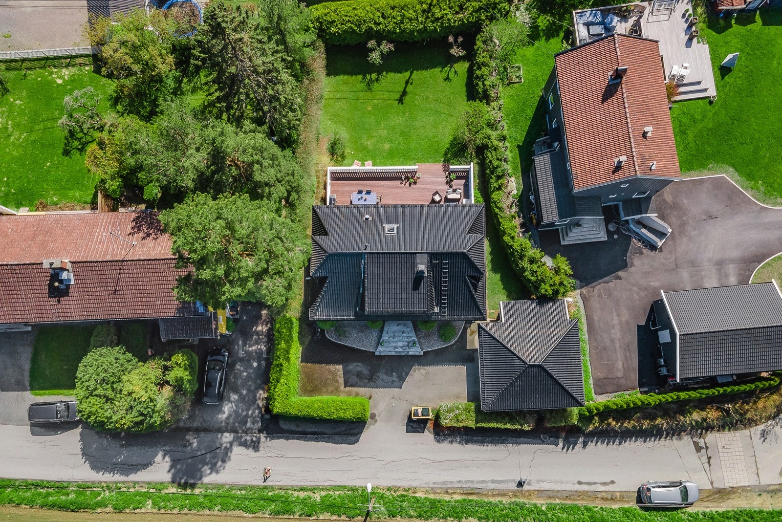 Sommerbilder fra 2021. Galleribilde