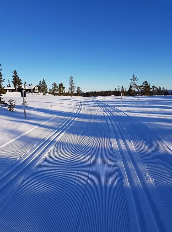 Milevis med preparerte skiløyper. Galleribilde