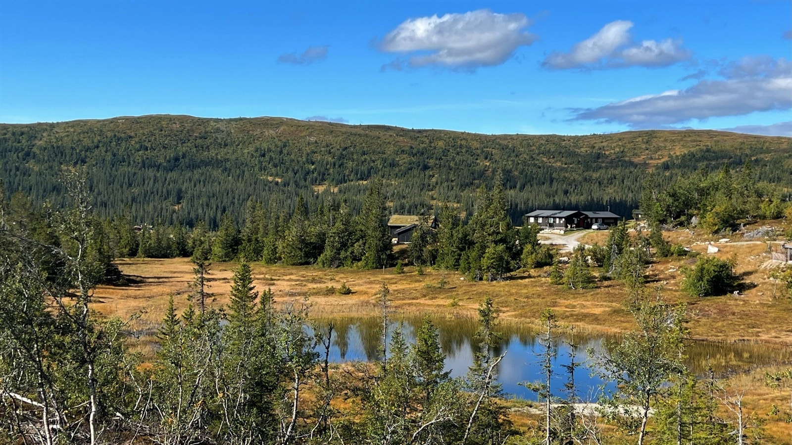 Syd og vestvendte tomter med unik utsikt mot Vorsetfjellet og Hardangervidda. Galleribilde