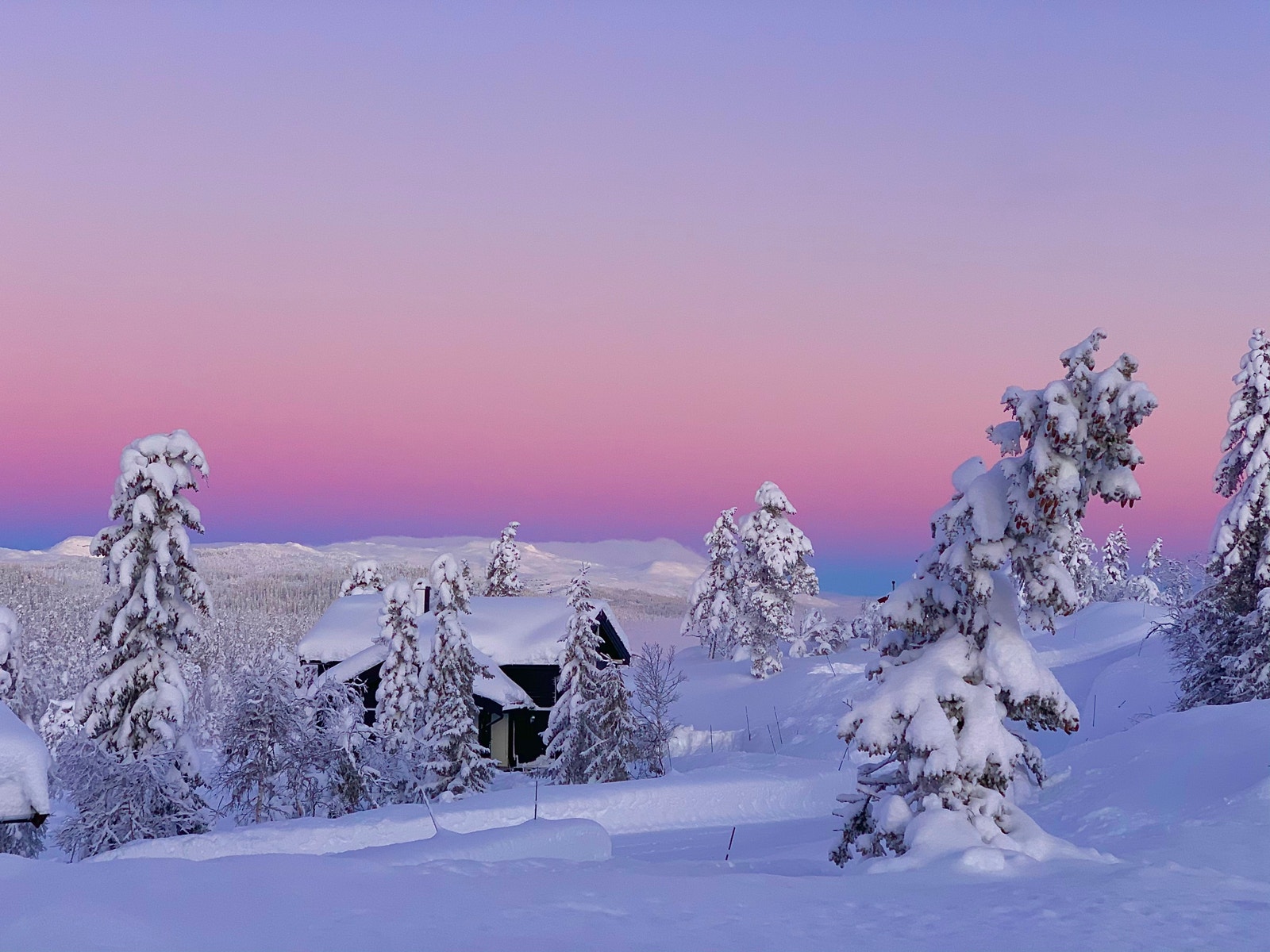Morgenstemning fra Søre Vegglifjell Galleribilde