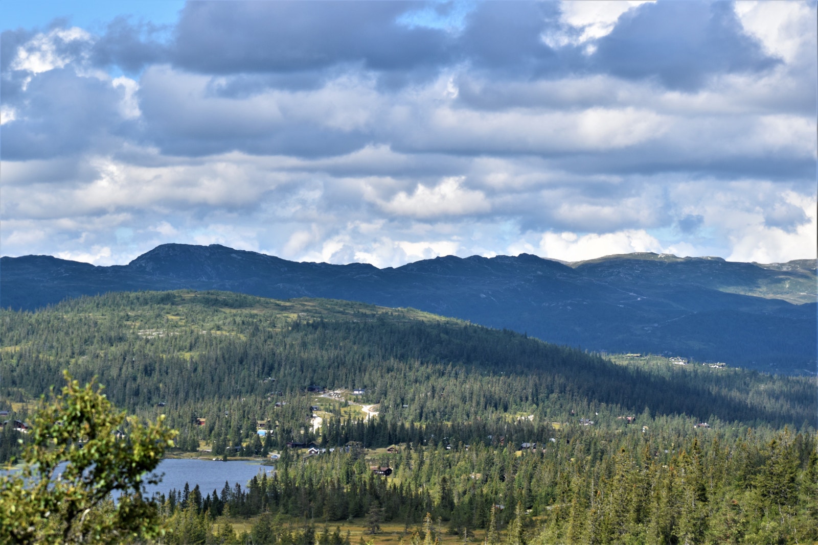 Myrefjellhøgde Syd har panorama utsikt. Galleribilde