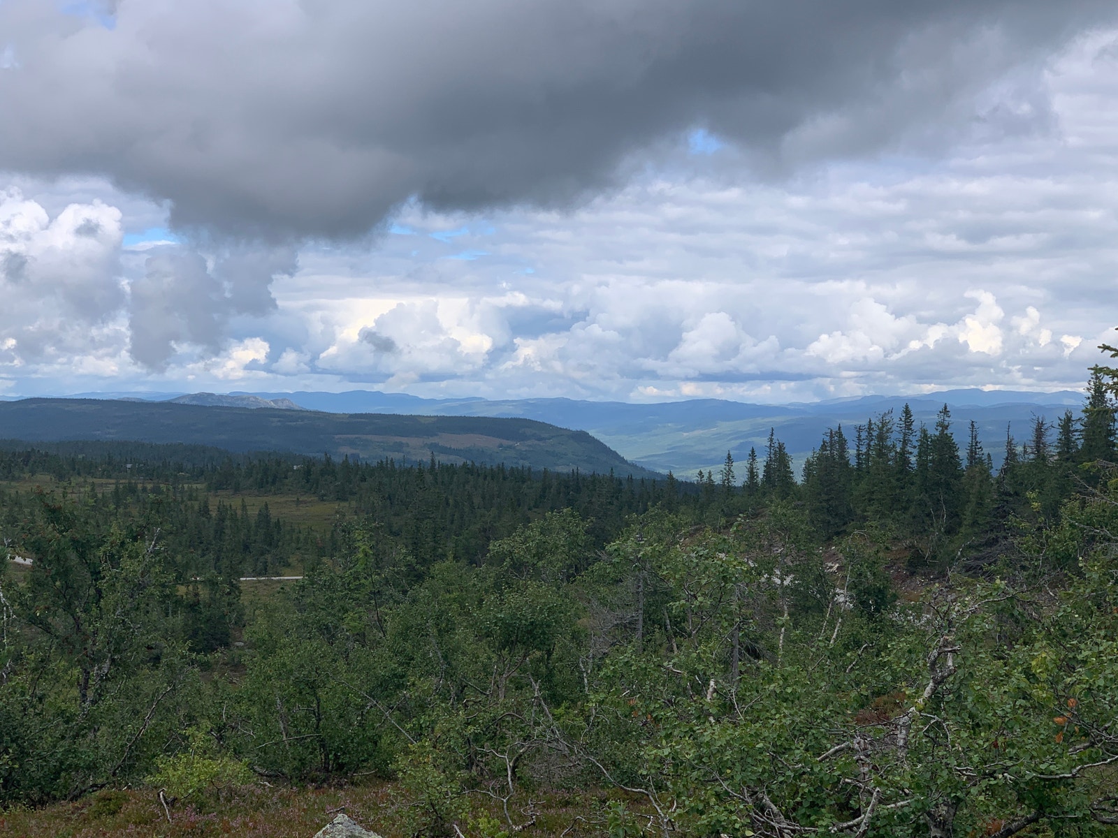 Tomt 73 1780kvm, unik beliggenhet uten nære naboer. Usjenert Galleribilde