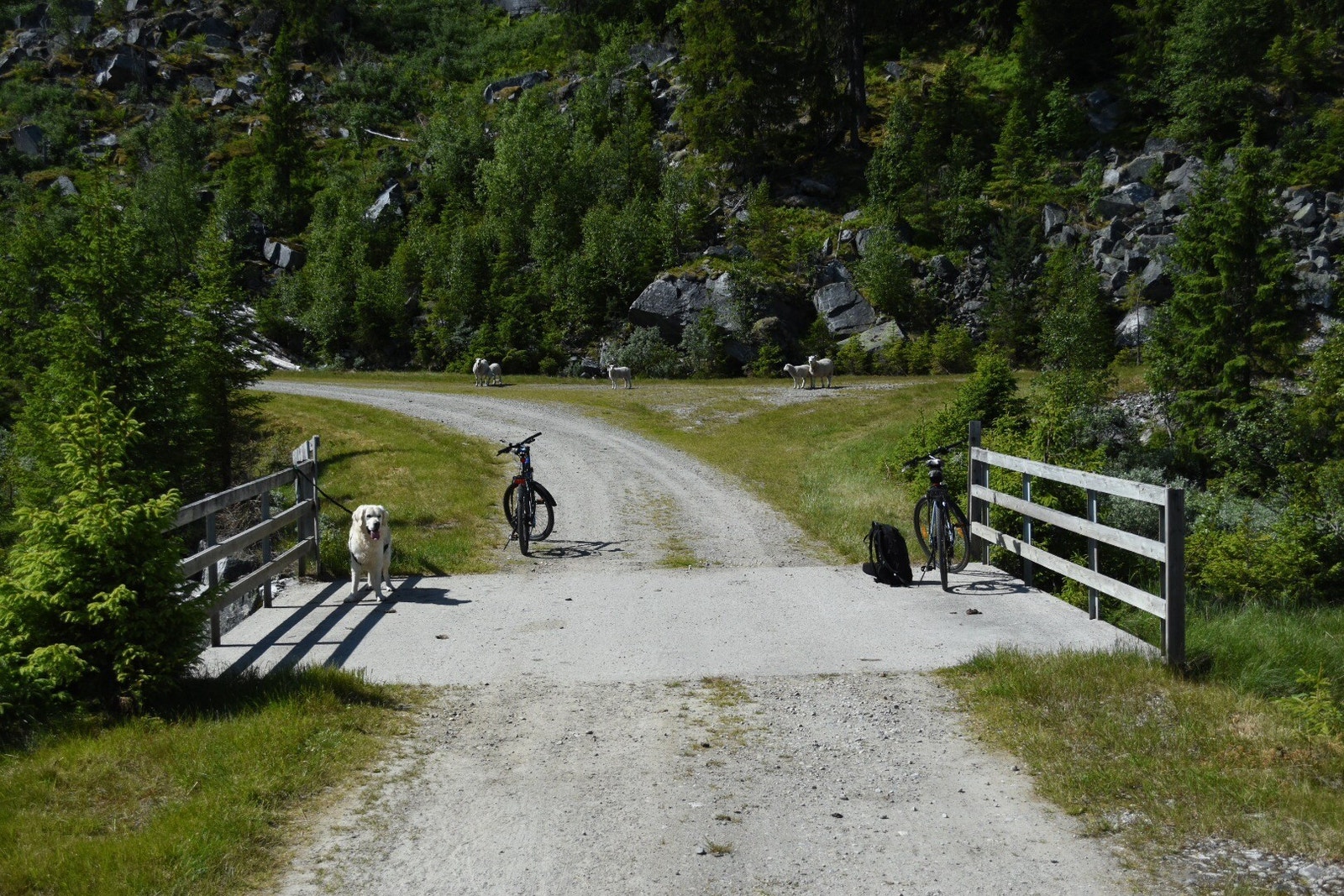 Fra sykkeltur i området. Galleribilde