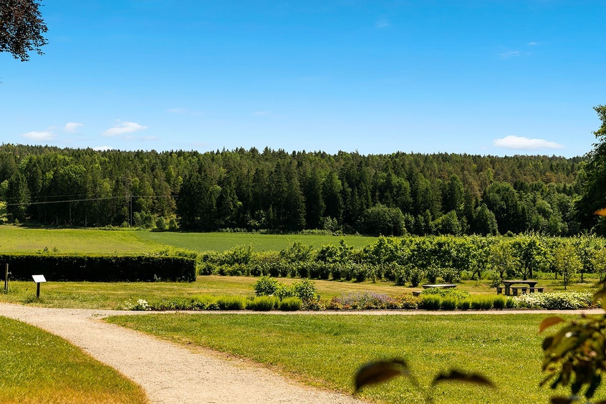 Tomb landskap Galleribilde