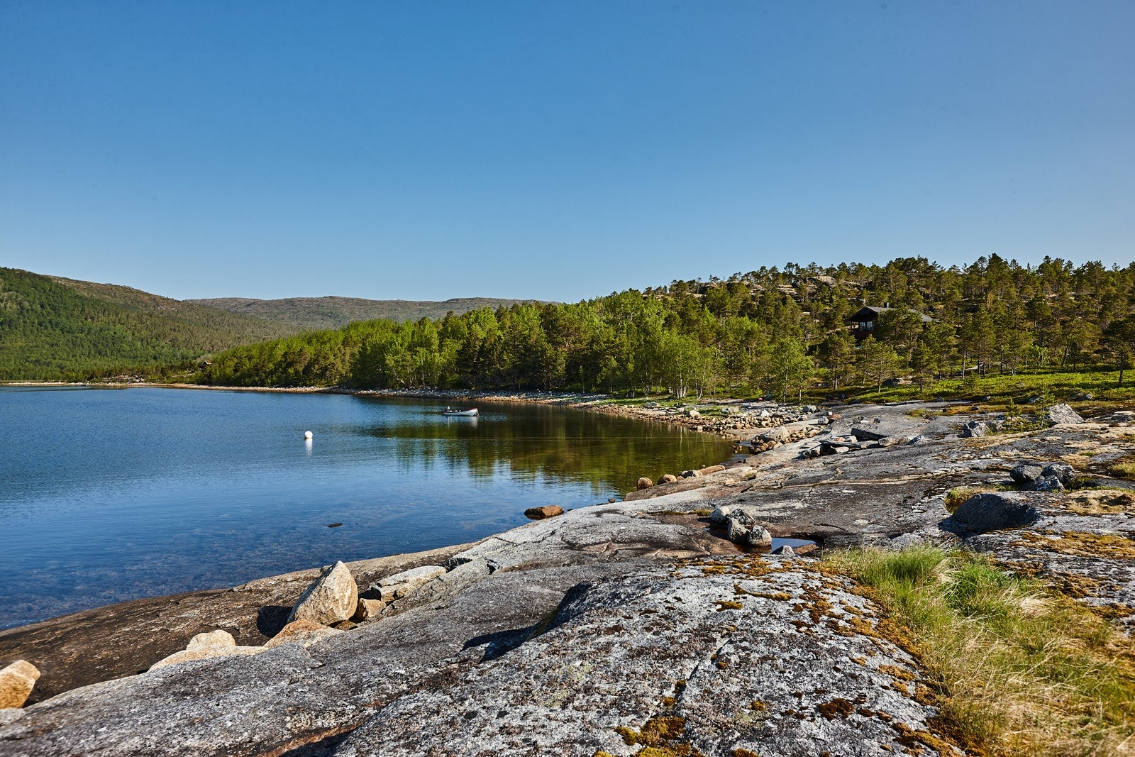 Veldig fint nede ved sjøen. Galleribilde