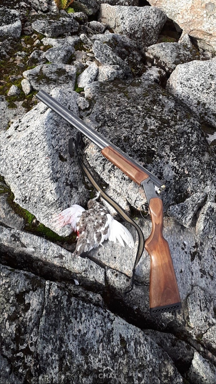 Muligheter for jakt i nærområdet Galleribilde