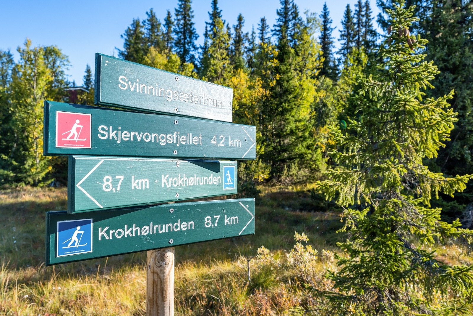 Det er mange turmuligheter i Synnfjellet, både sommer- og vinterstid. Galleribilde