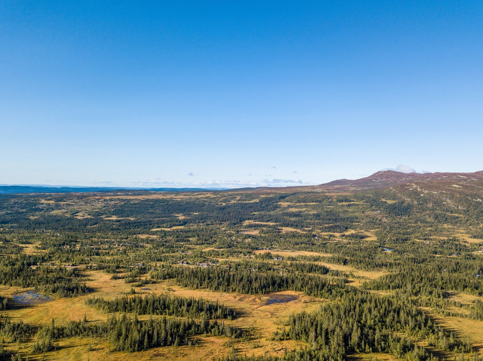 Spåtind, som er høyeste topp, ligger på 1414 moh, men det er også flere andre fine toppturer i Synnfjellet, f.eks Svartkampen, Skjervungsfjellet etc. Galleribilde